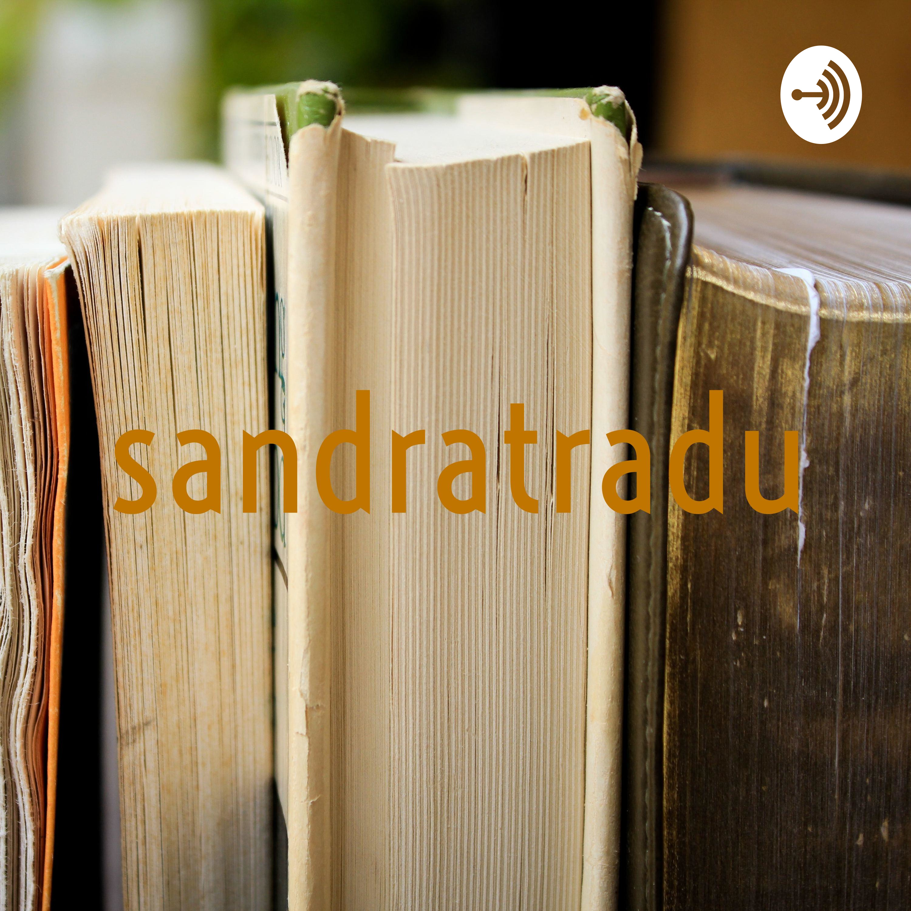 Importancia del idioma meta