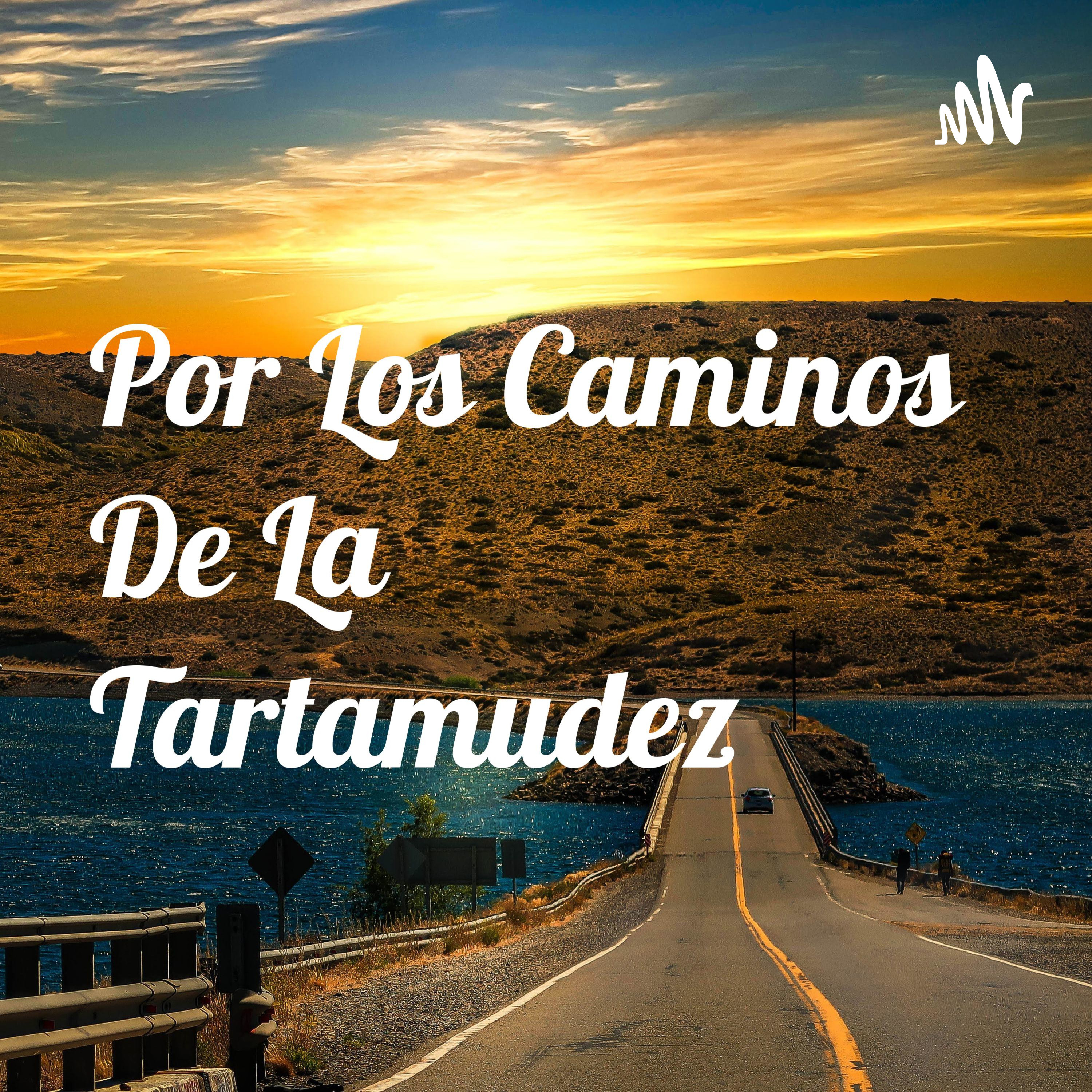 Por Los Caminos De La Tartamudez podcast artwork