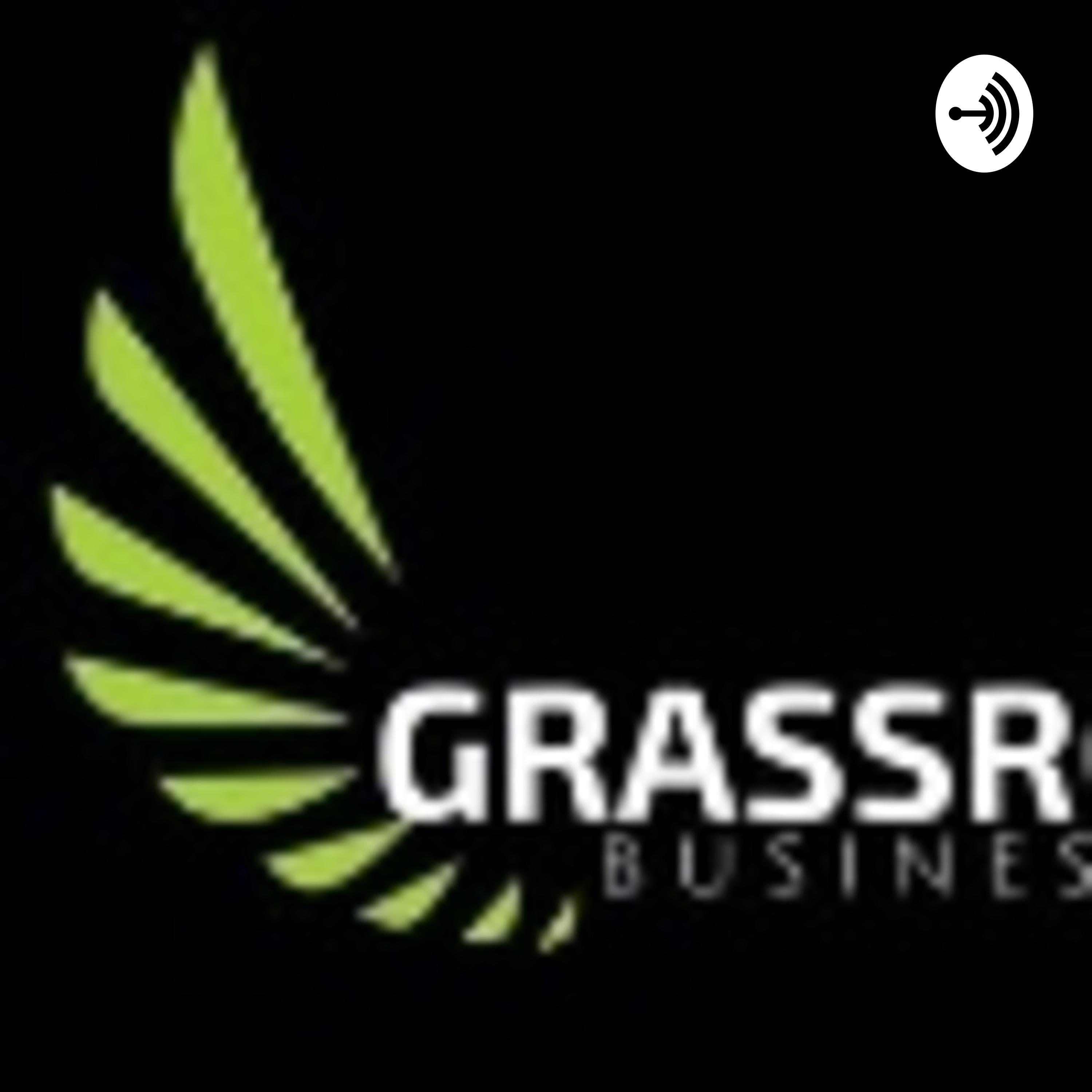 Grassroots Business Hub