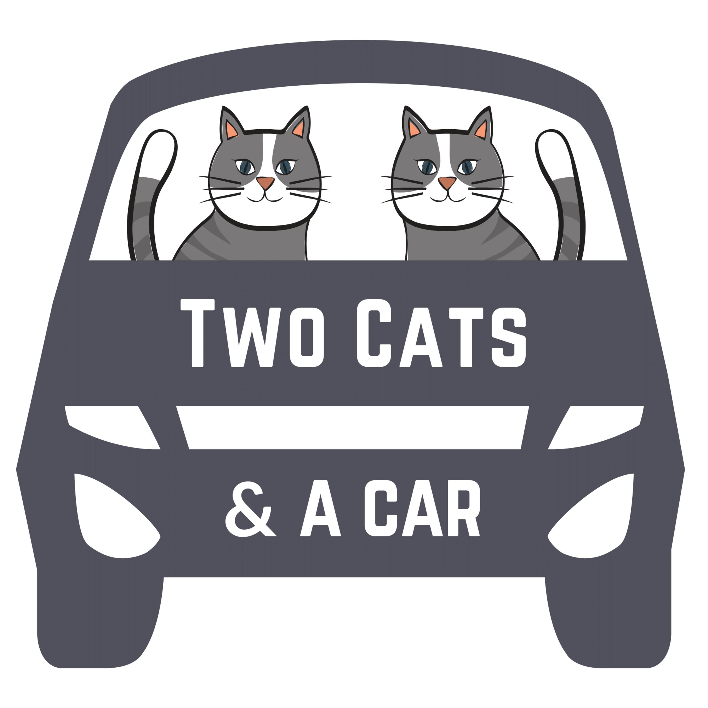 What is Two Cats & A Car?