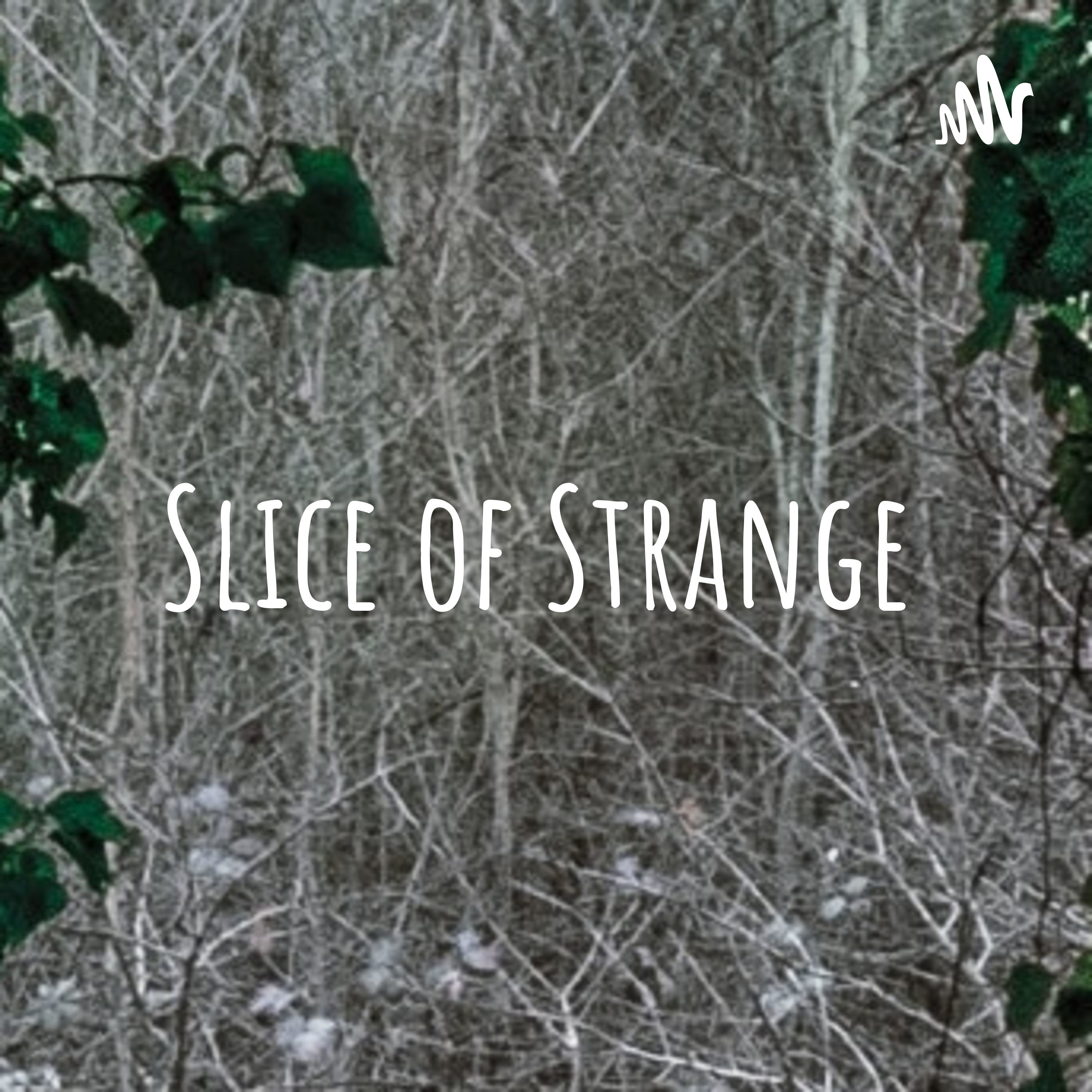 Slice of Strange podcast artwork