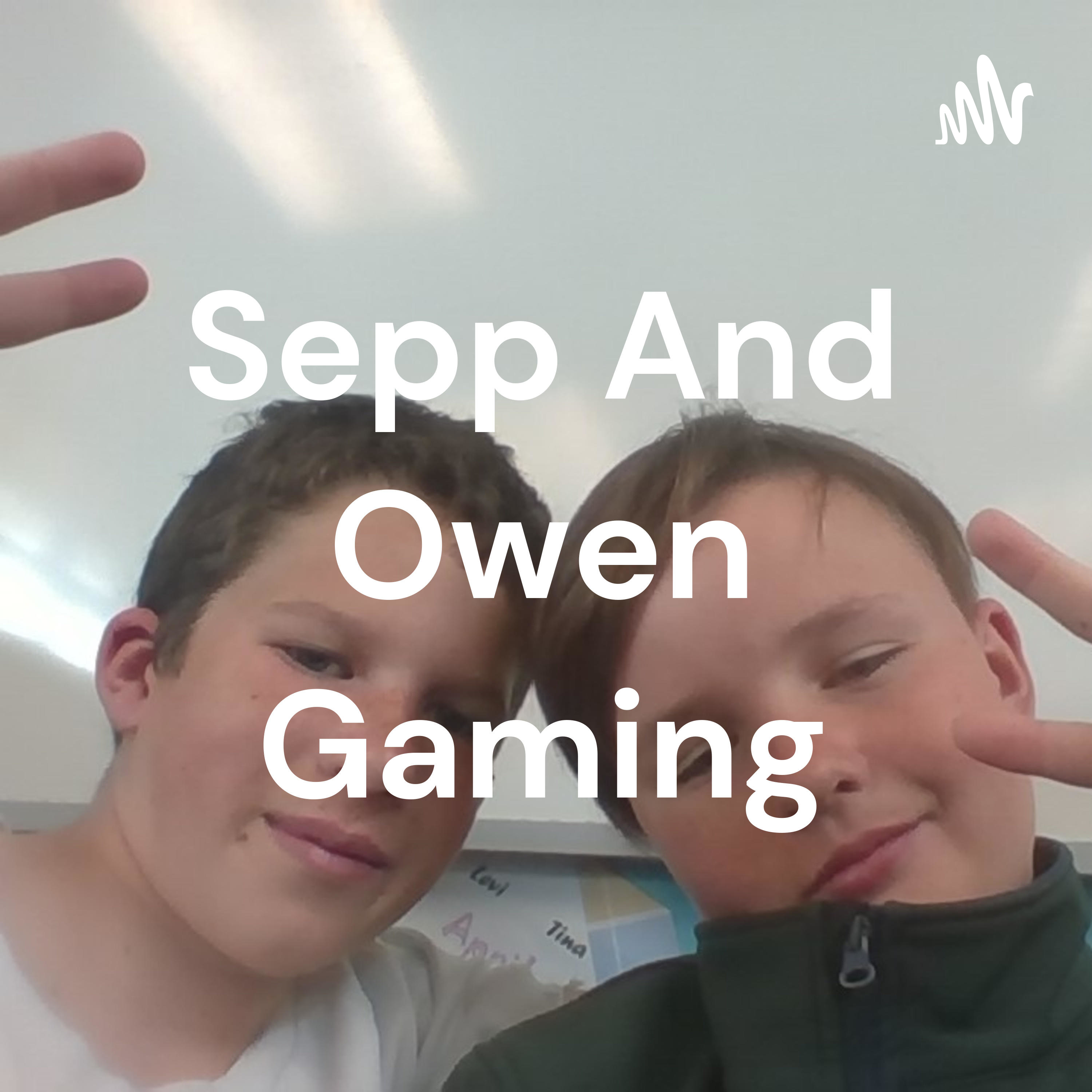 Sepp And Owen Gaming podcast artwork
