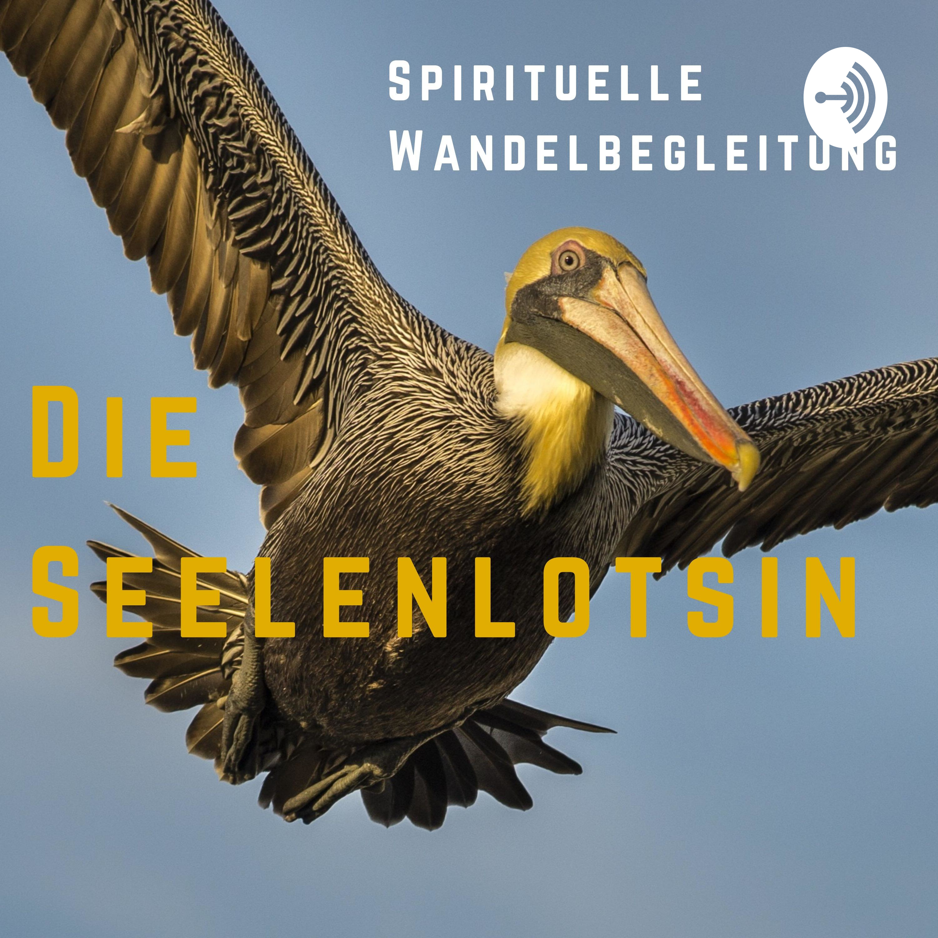 Ep. 87: GottesDienst