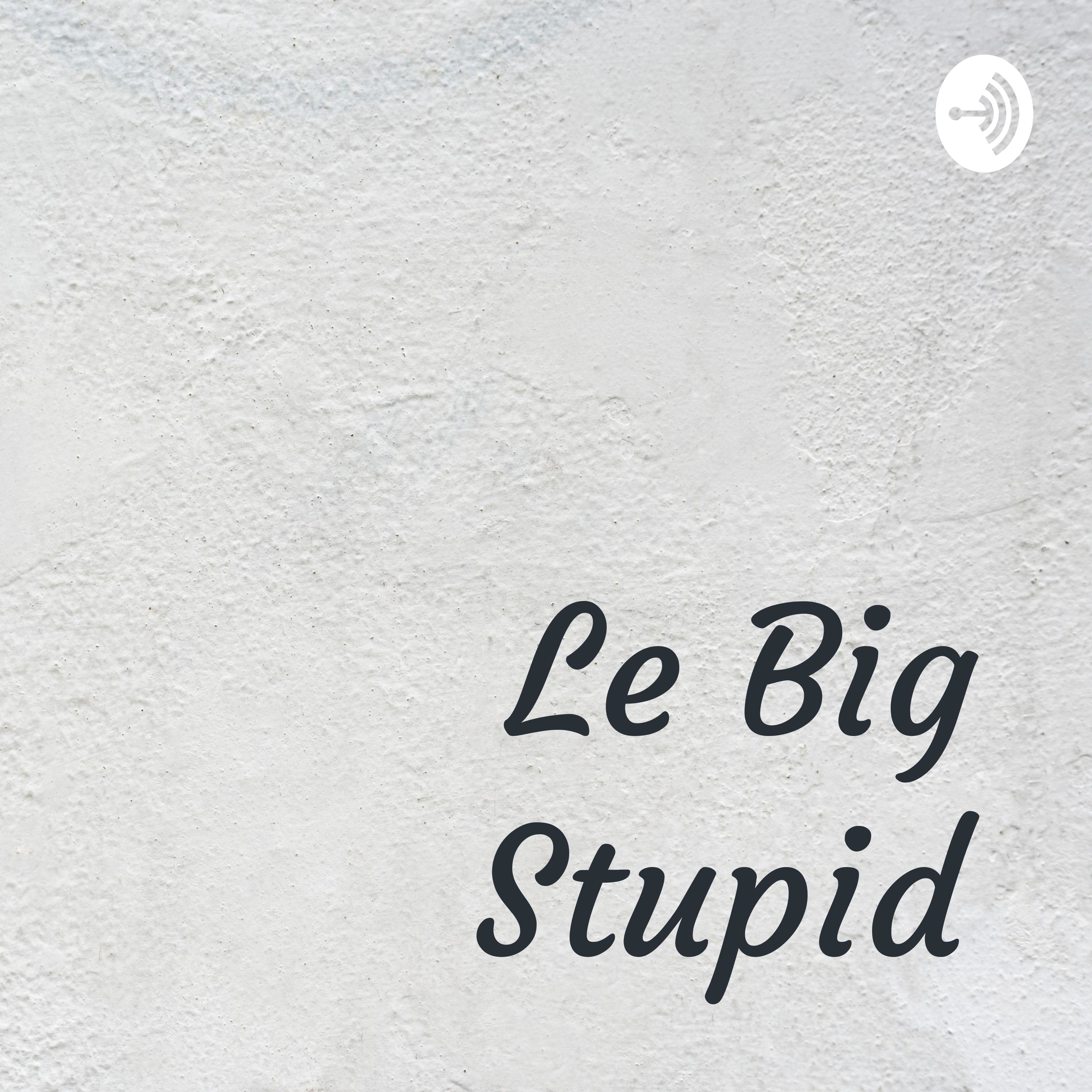 Le Big Stupid