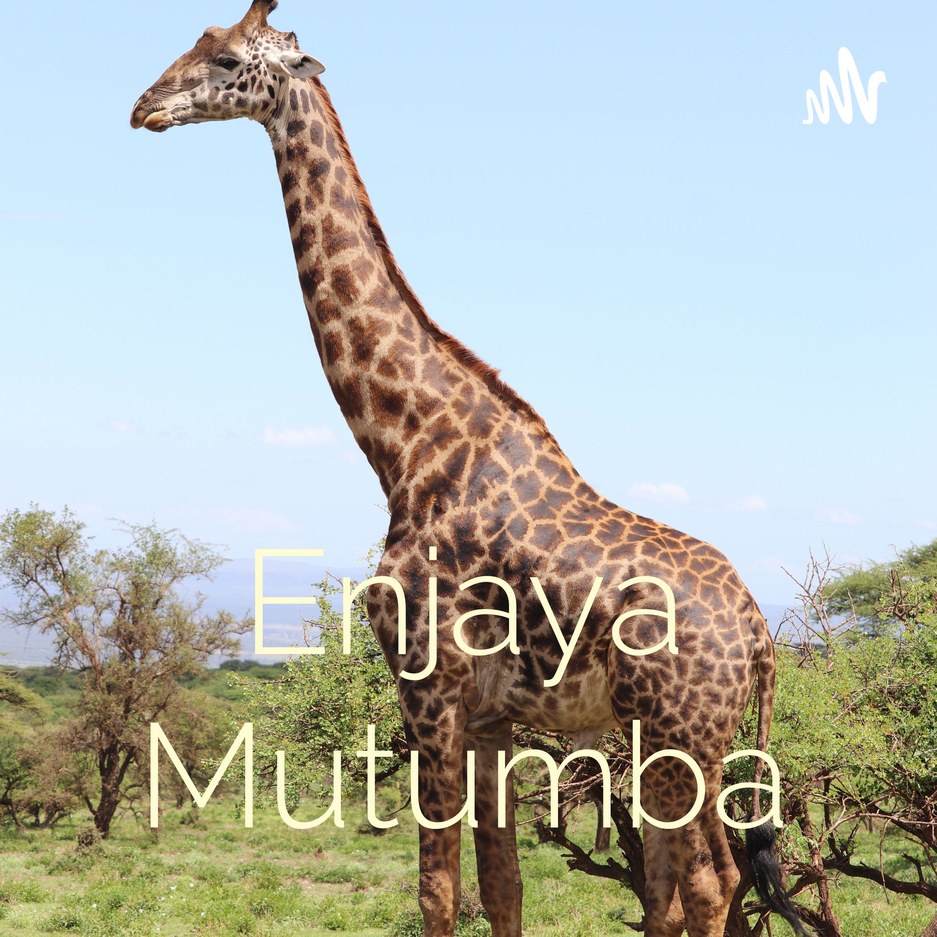 Enjaya Mutumba