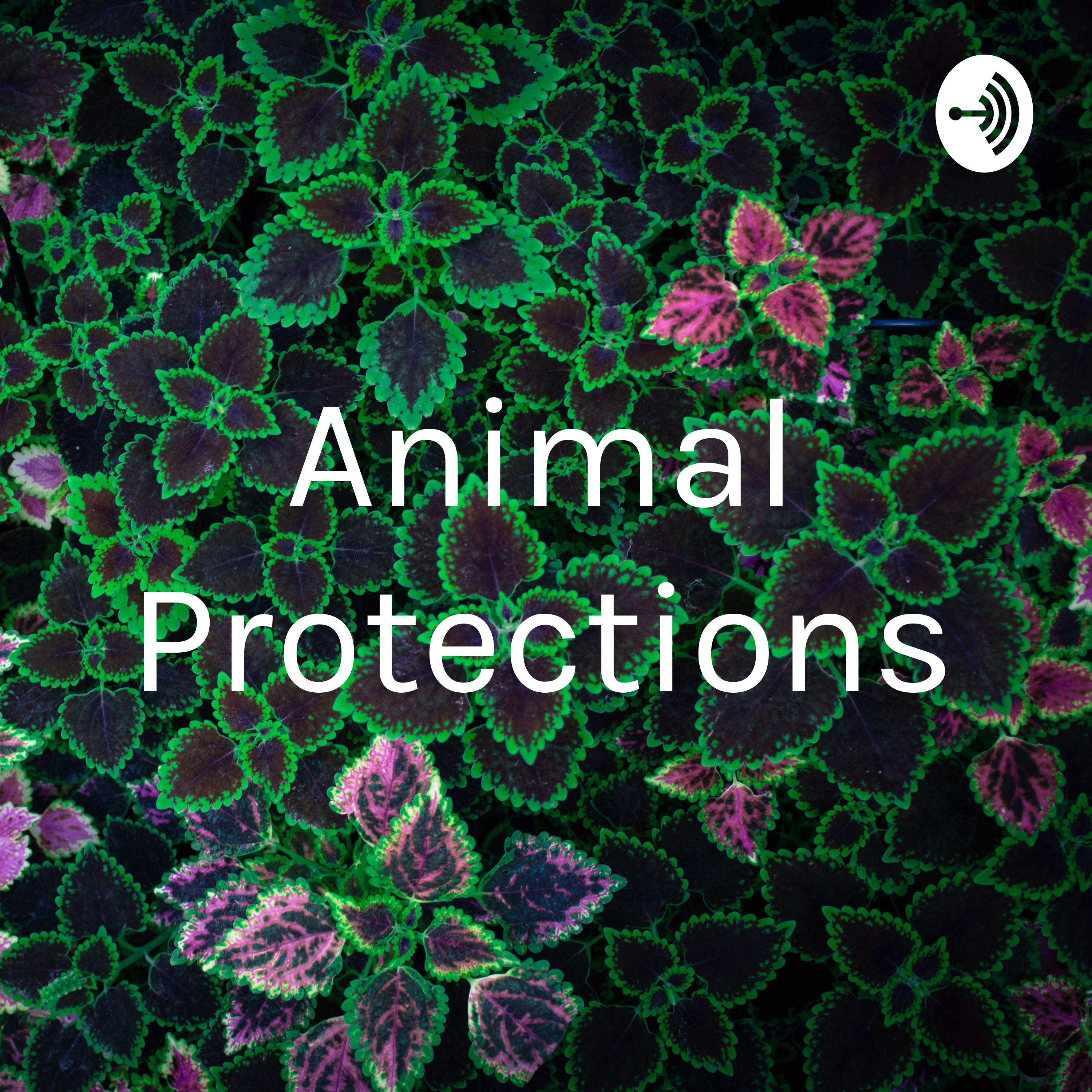 Losing a friend Losing a friend