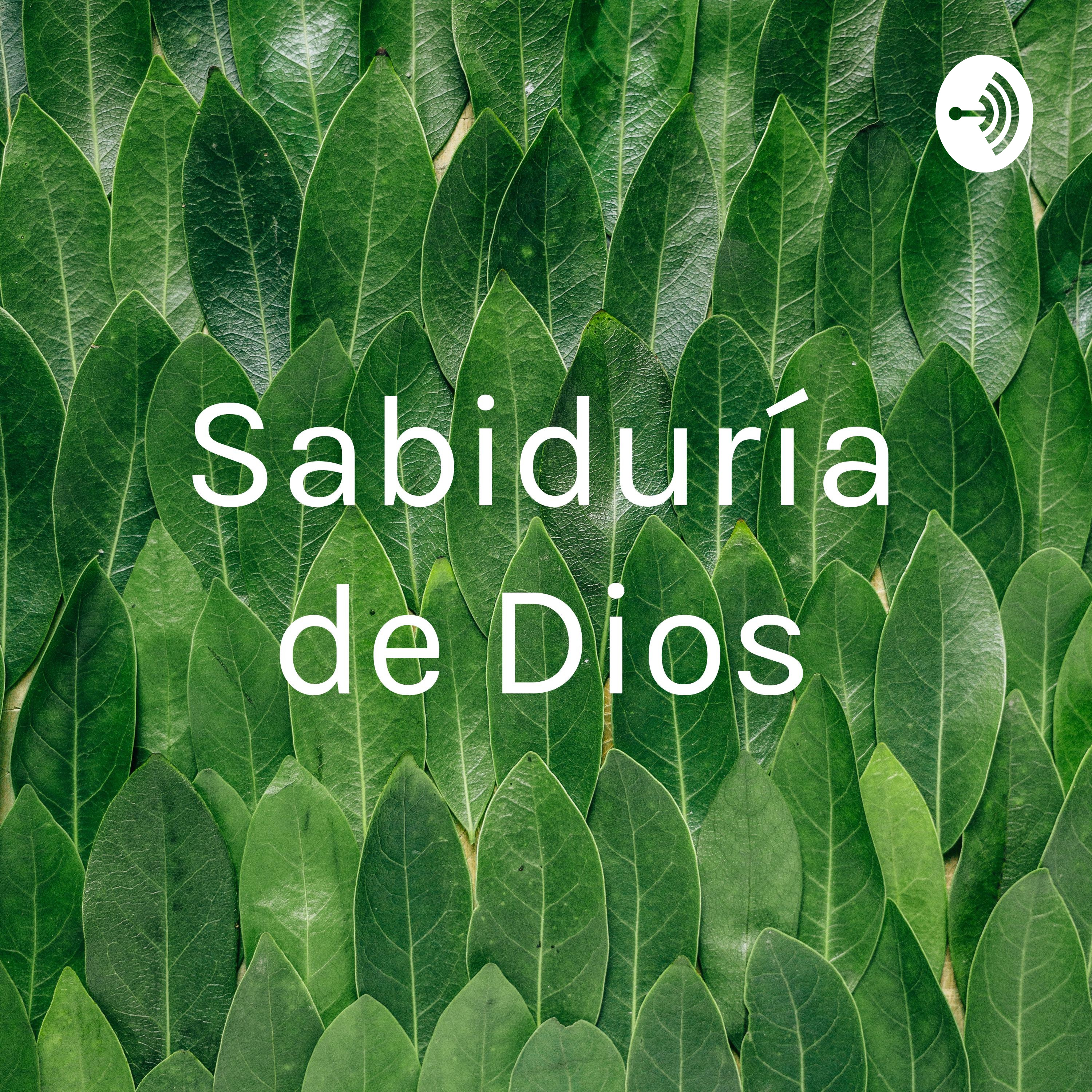 Sabiduría de Dios