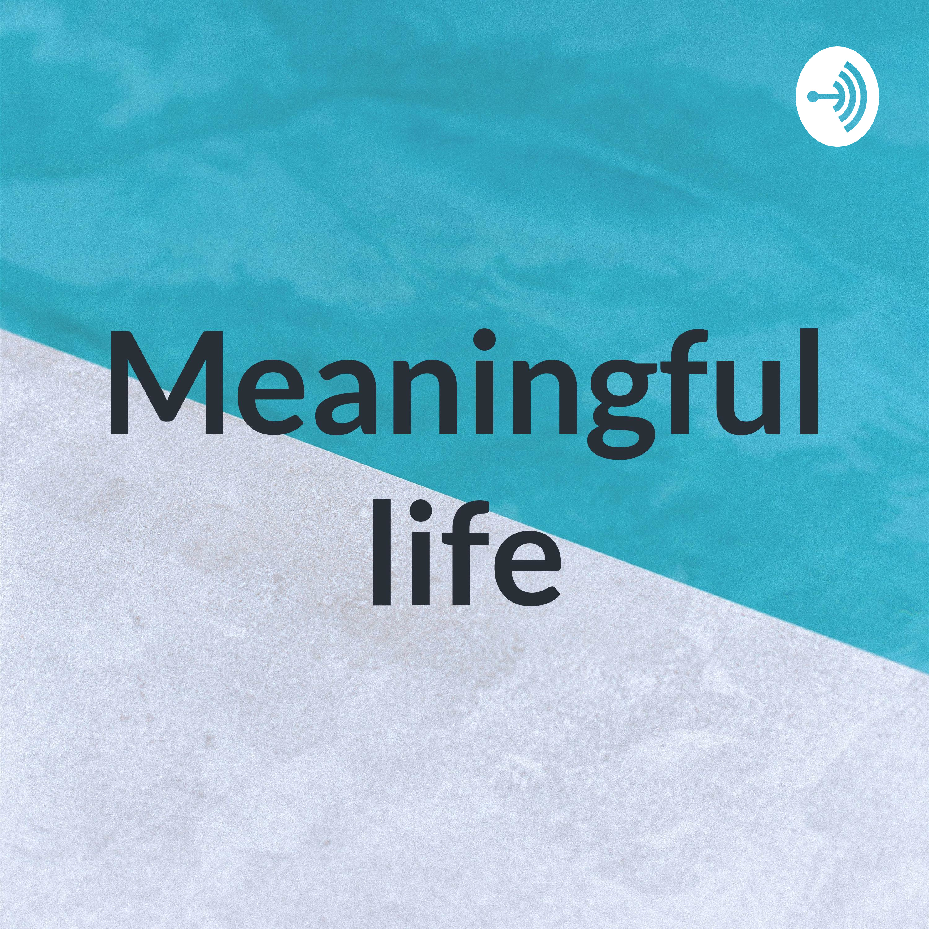 Meaningful life