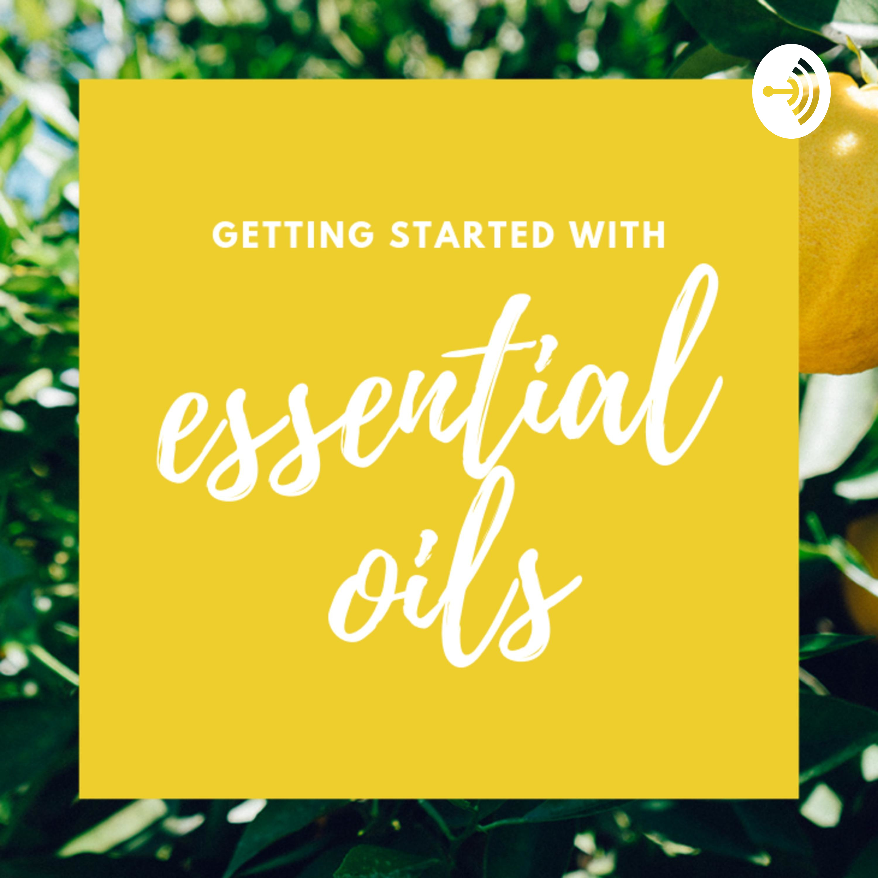 004 Essential Oils 101: safety - don’t skip this! 004 Essential Oils 101: safety - don’t skip this!