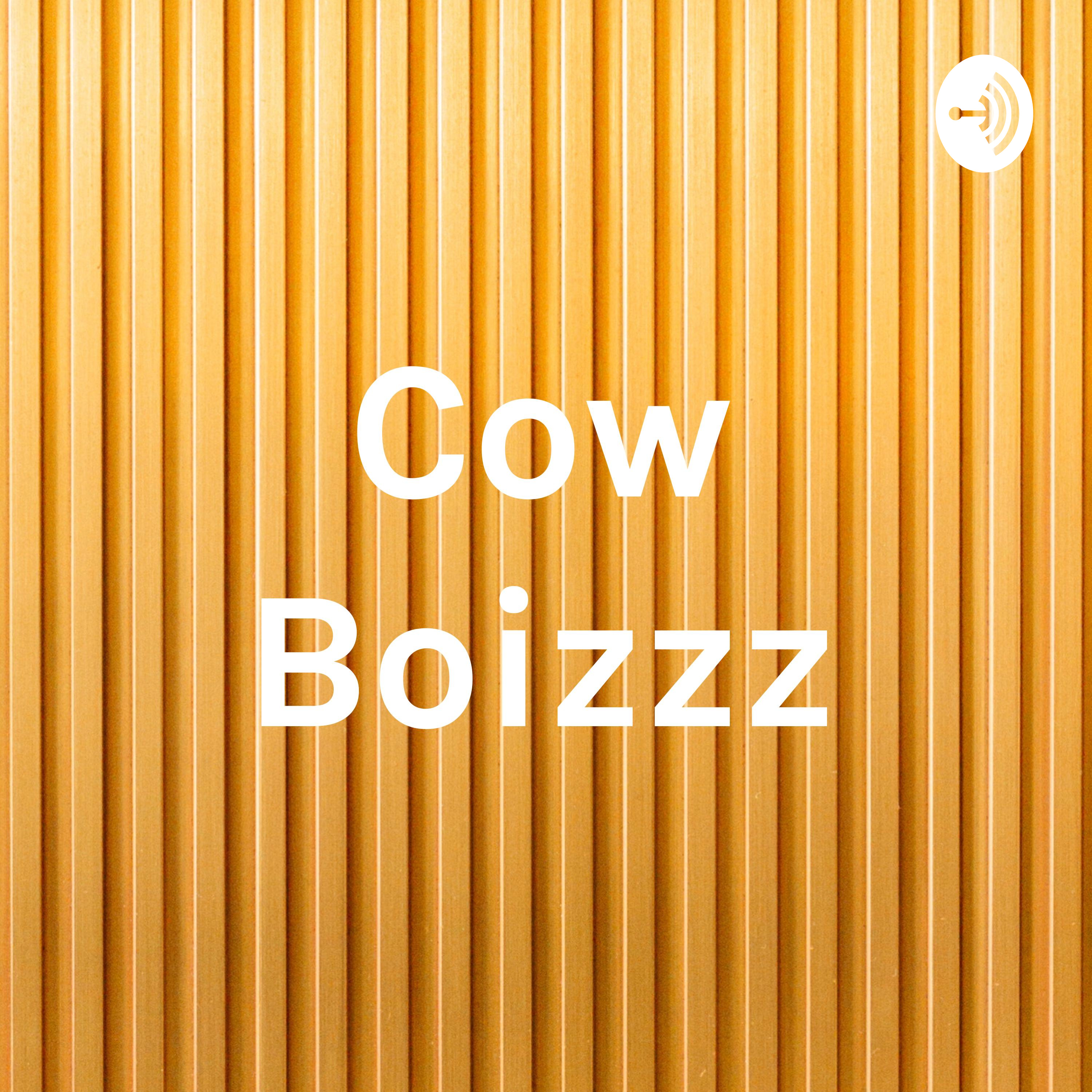 Cow Boizzz