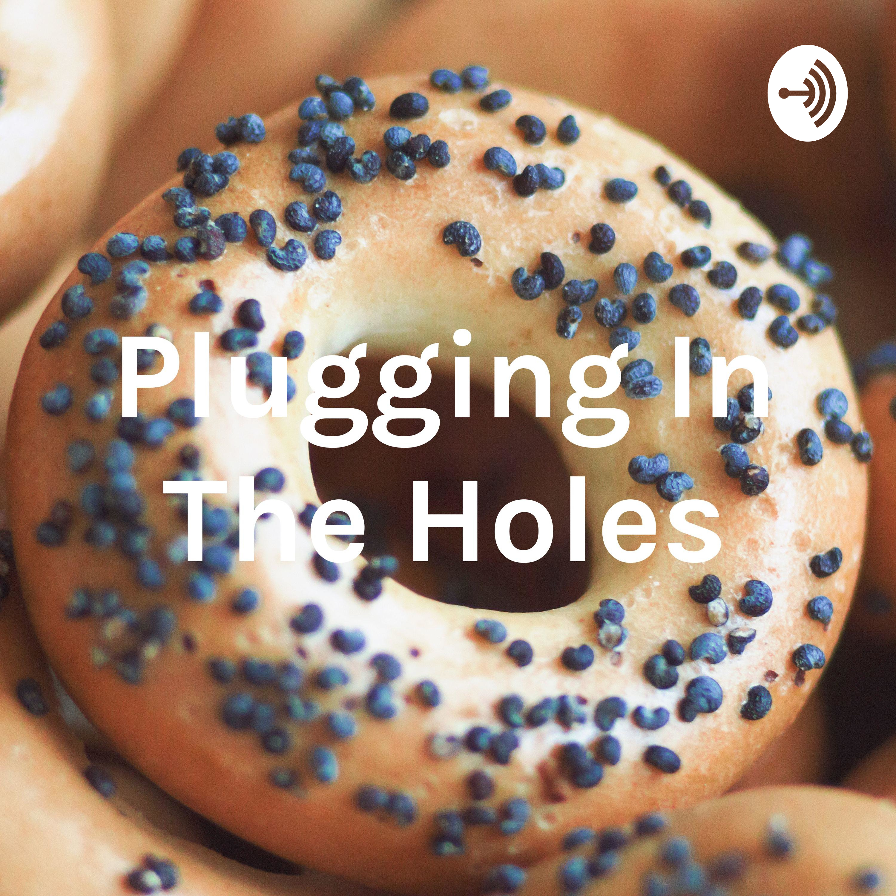 Plugging In The Holes