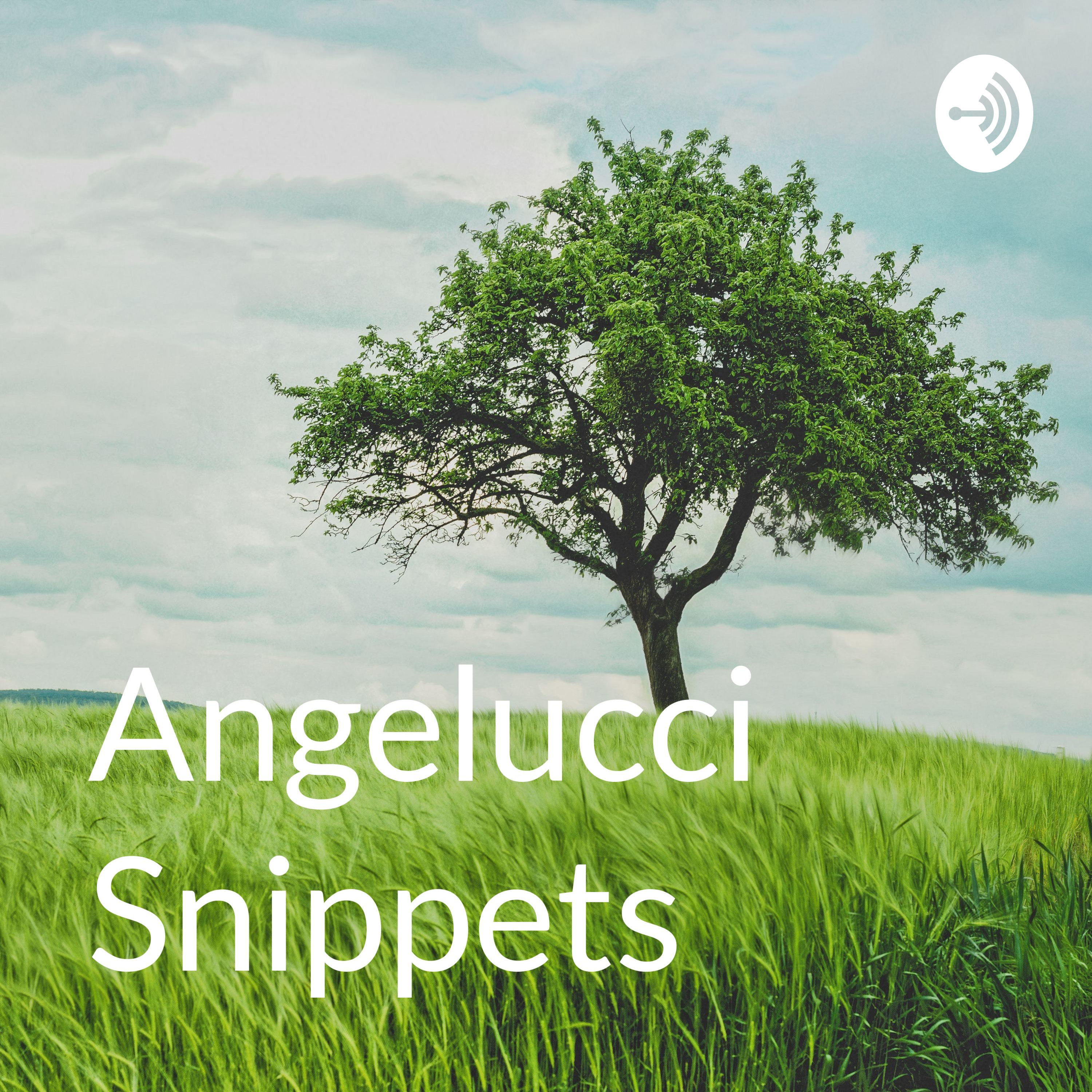 Angelucci Snippets