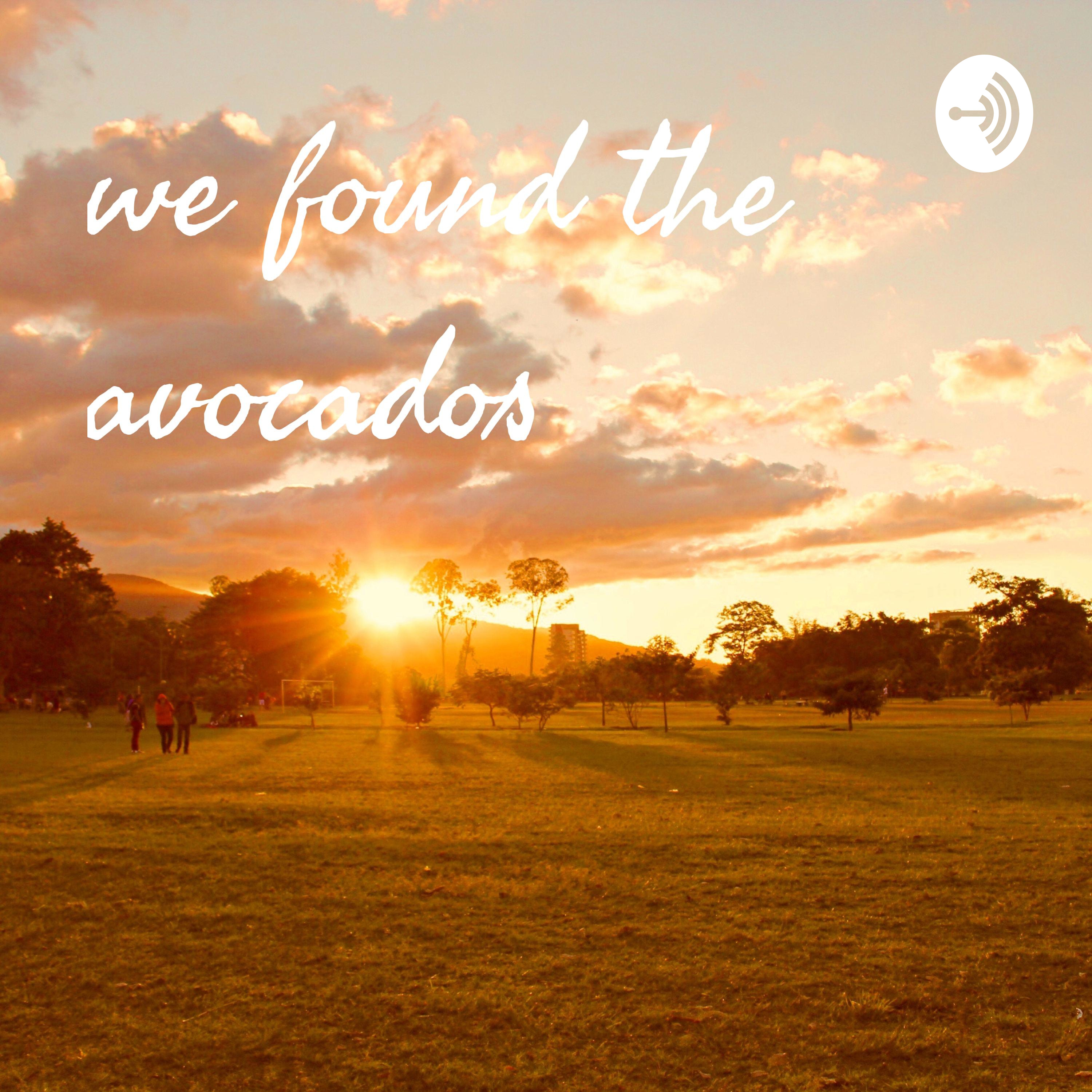 we found the avocados podcast artwork