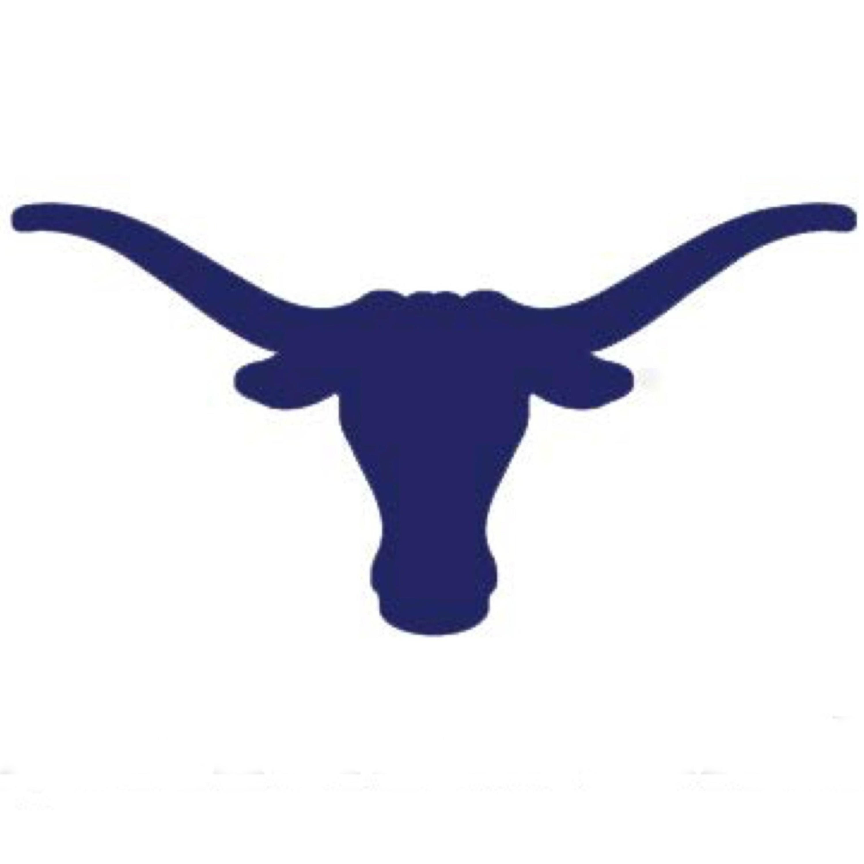The Longhorn cover