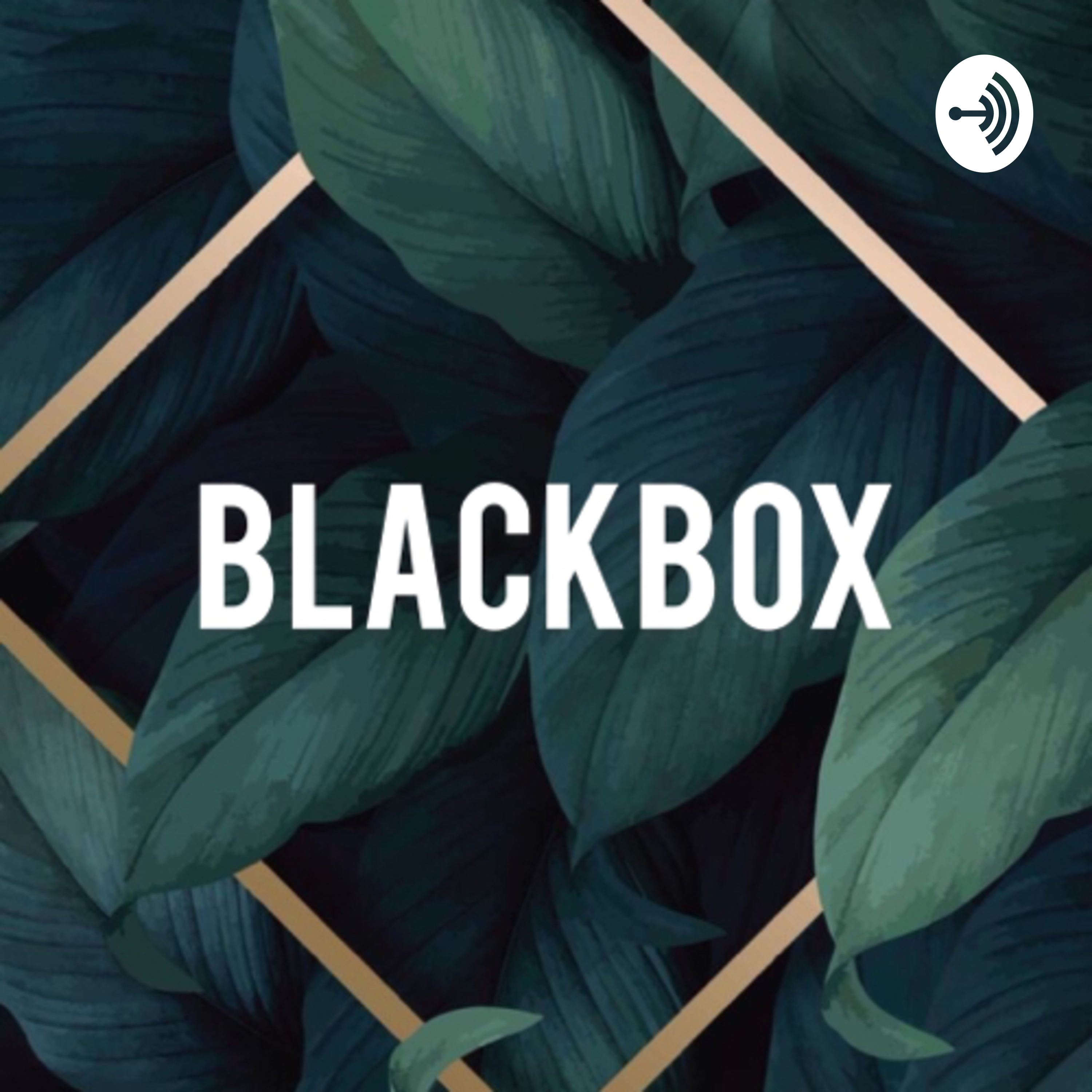 Blackbox