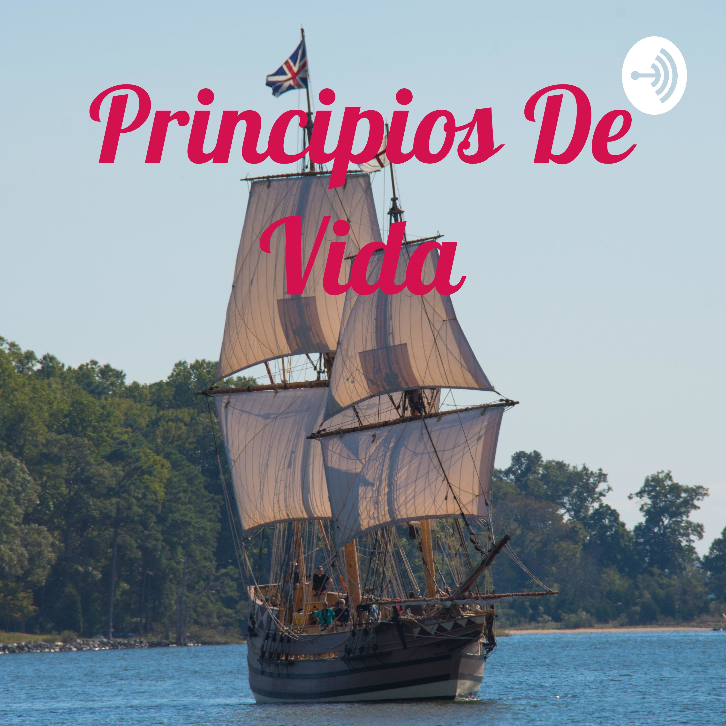 Ministerio Espiritual Vida