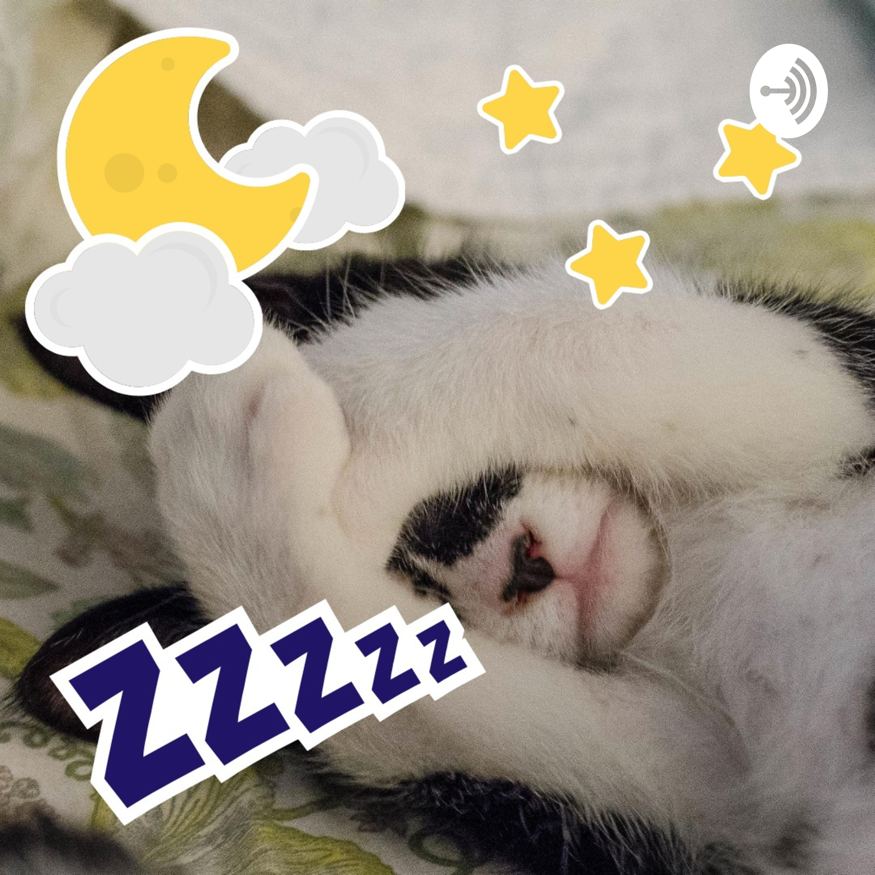 Pecinta Kucing podcast artwork