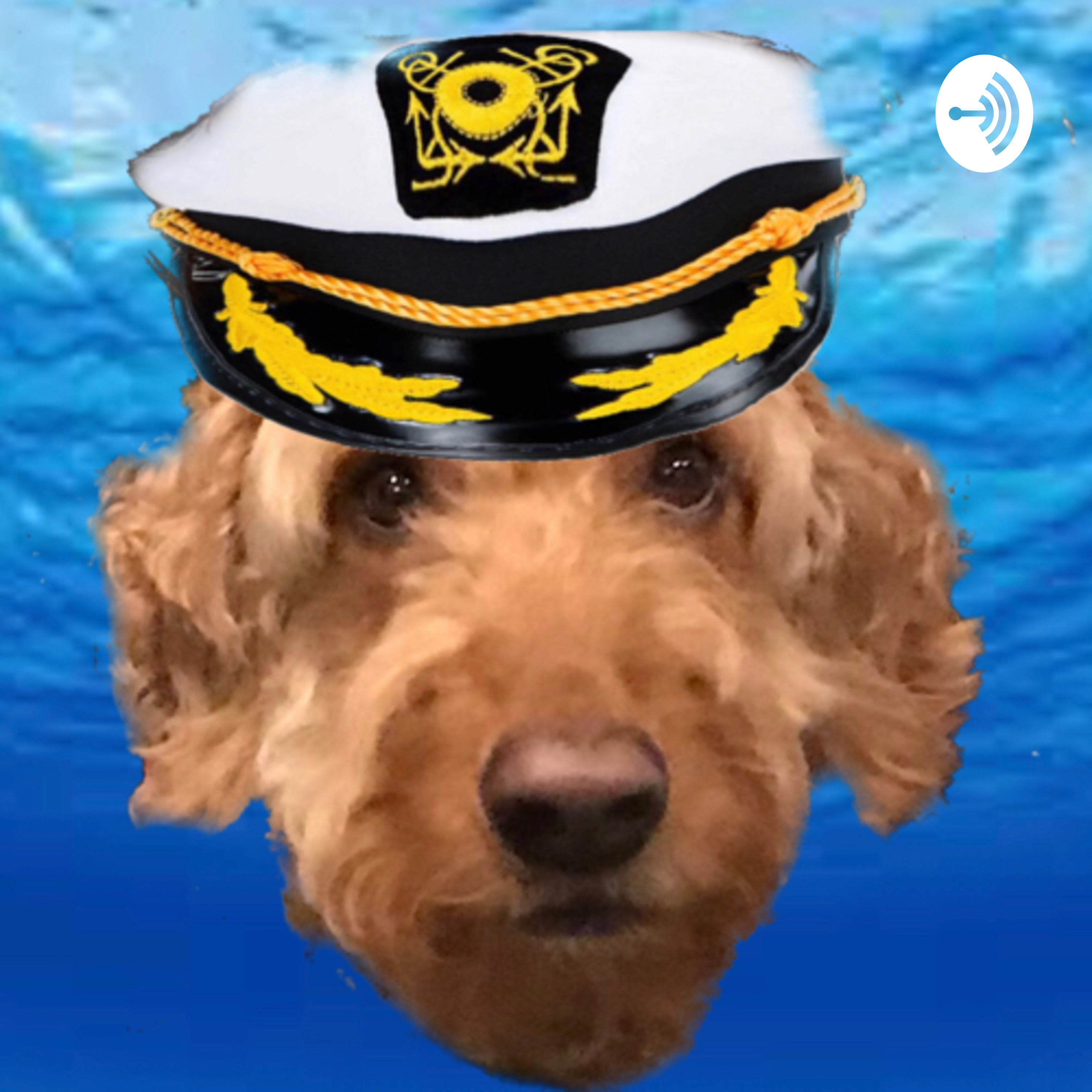 Normal Conversation Sailors 