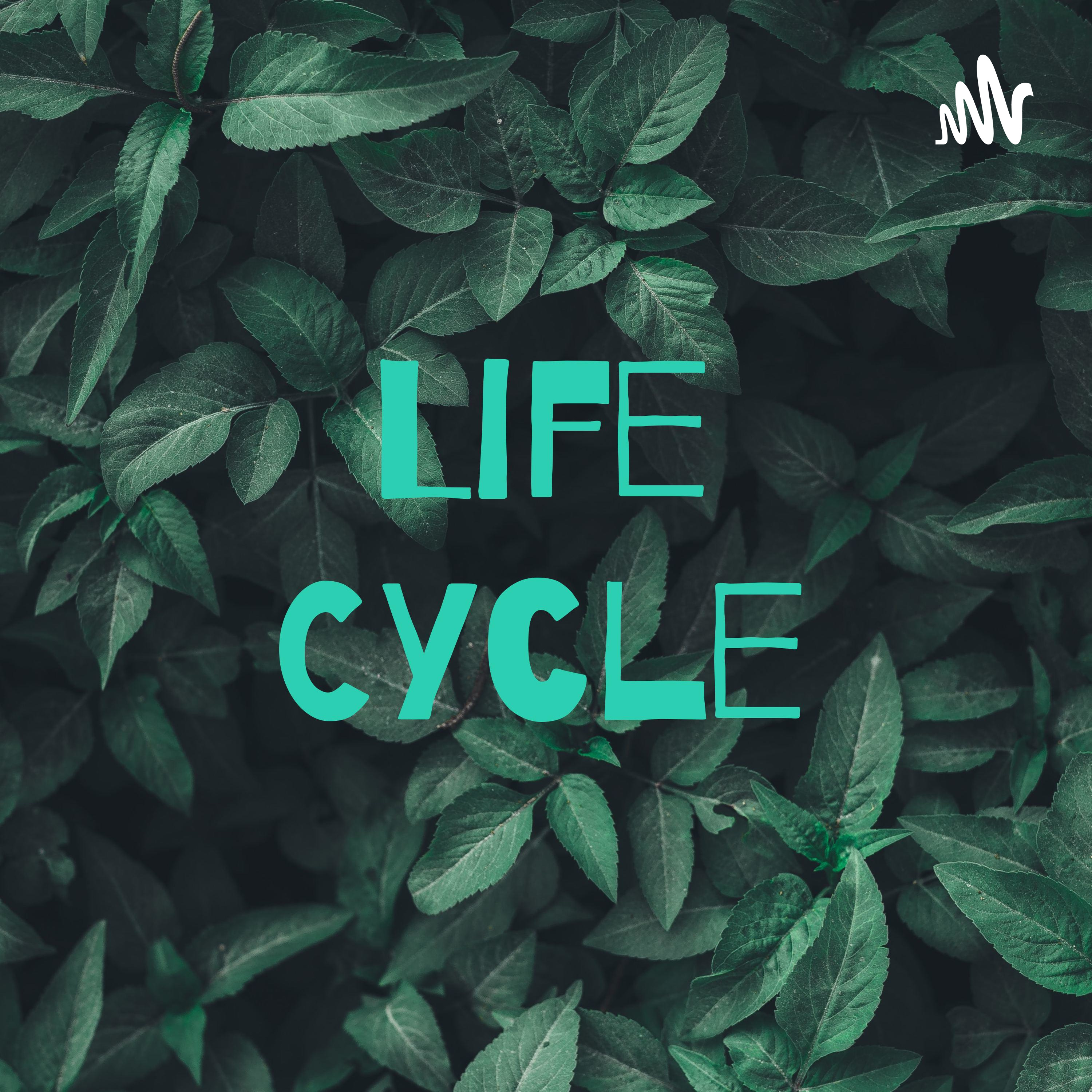 Life Cycle