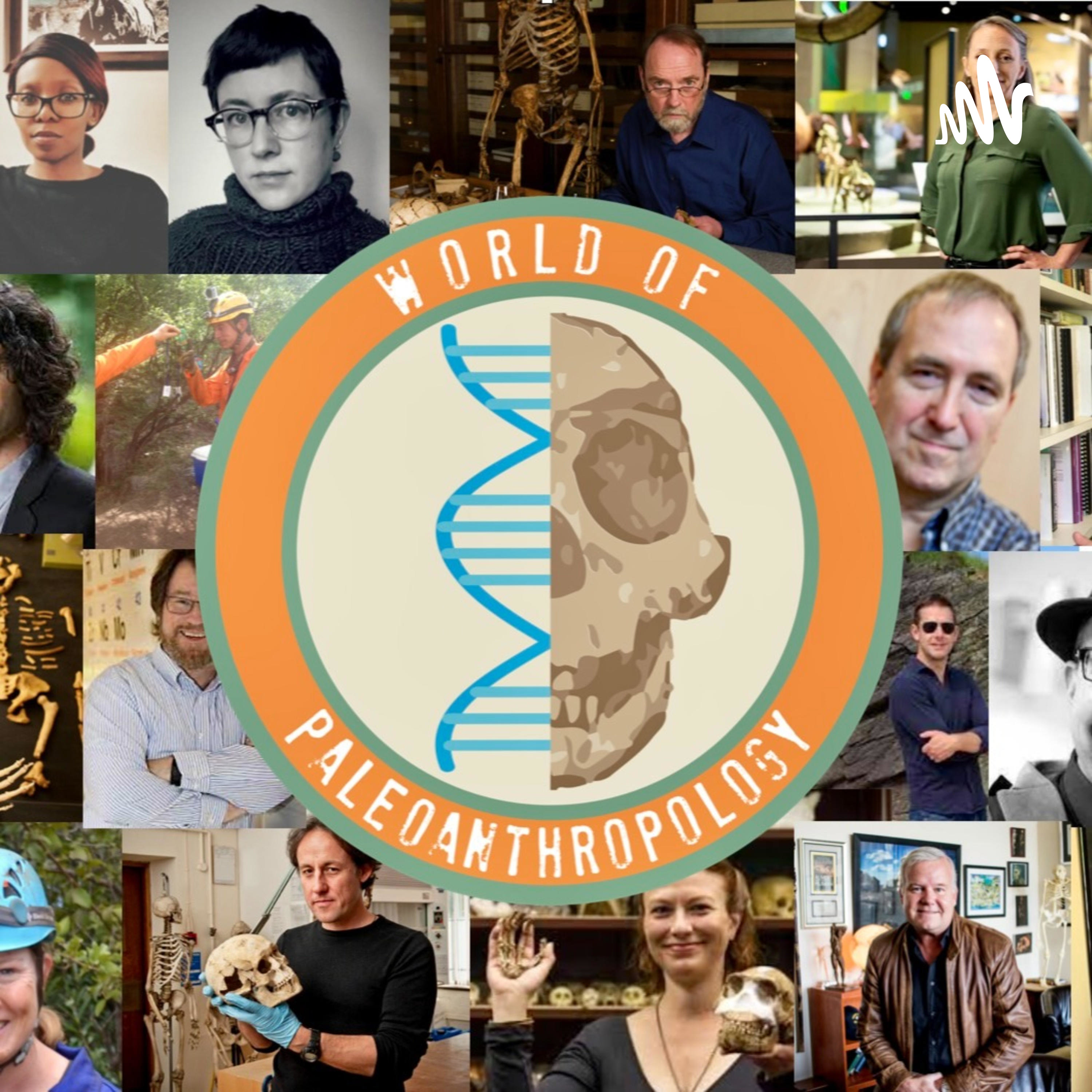 World of Paleoanthropology