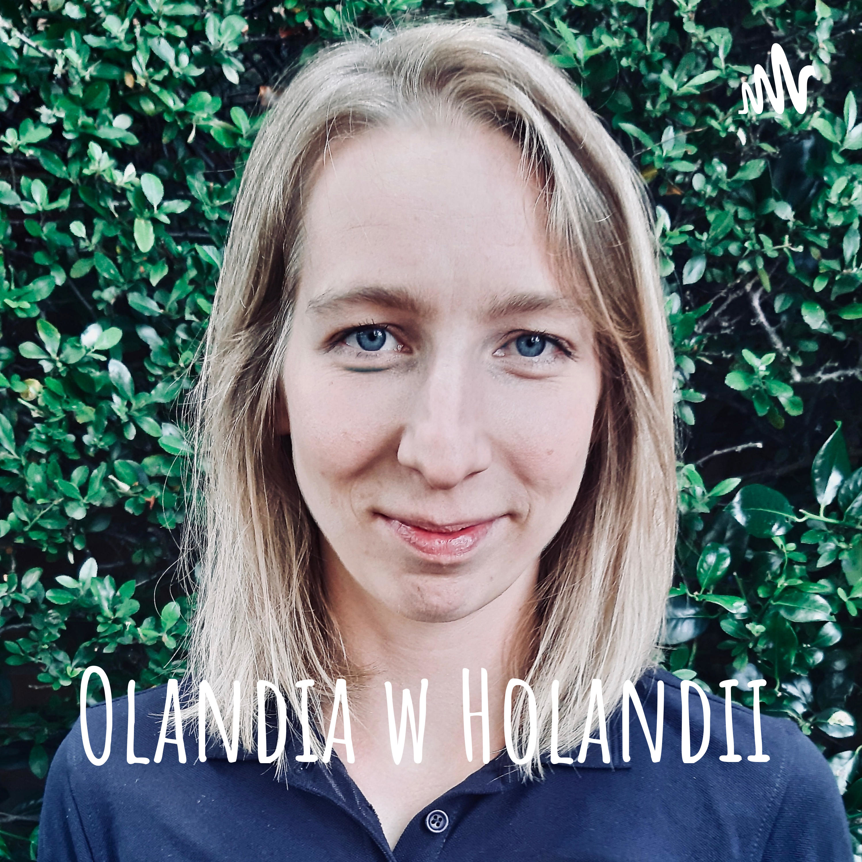 Olandia w Holandii podcast artwork