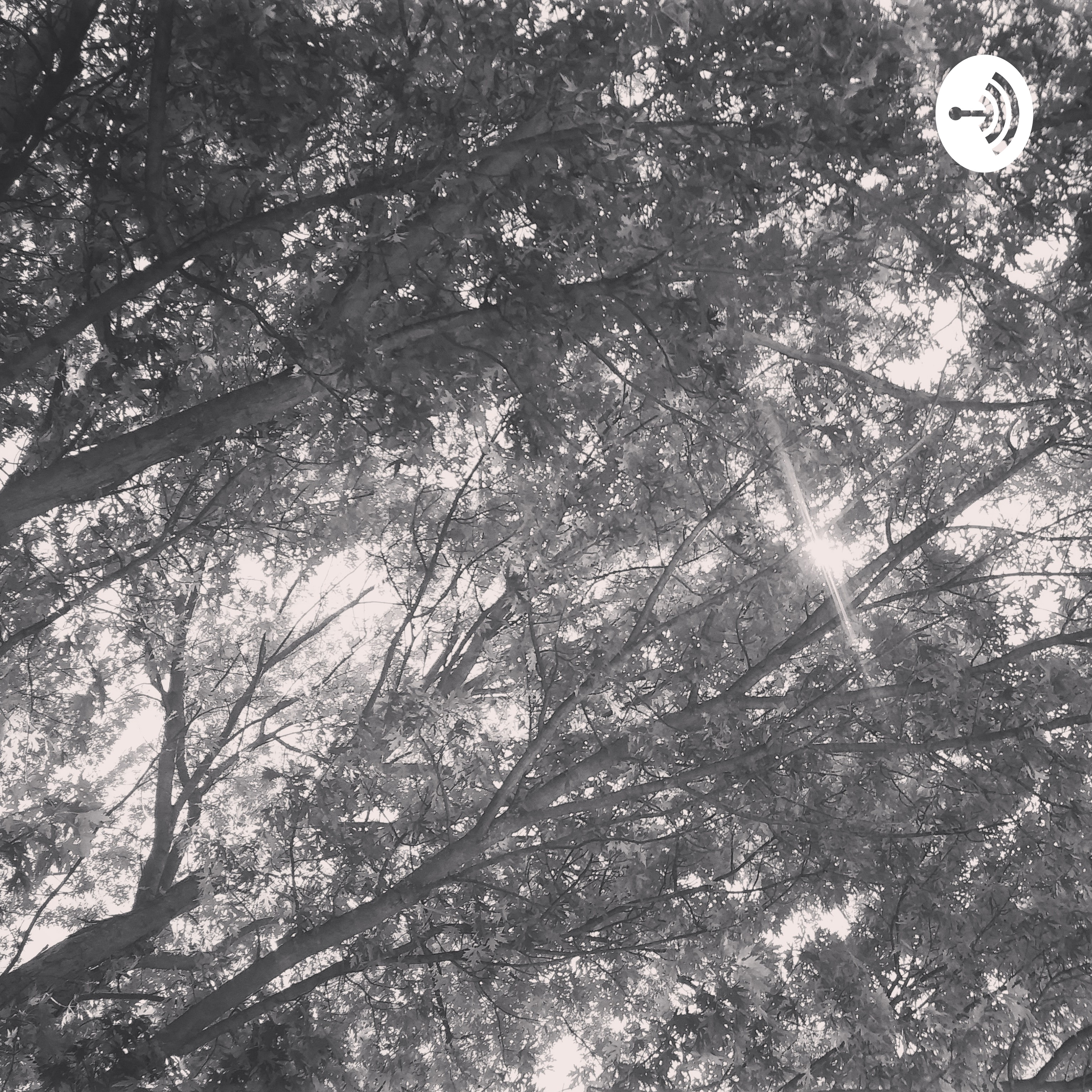 Talking With Christopher Walkin'