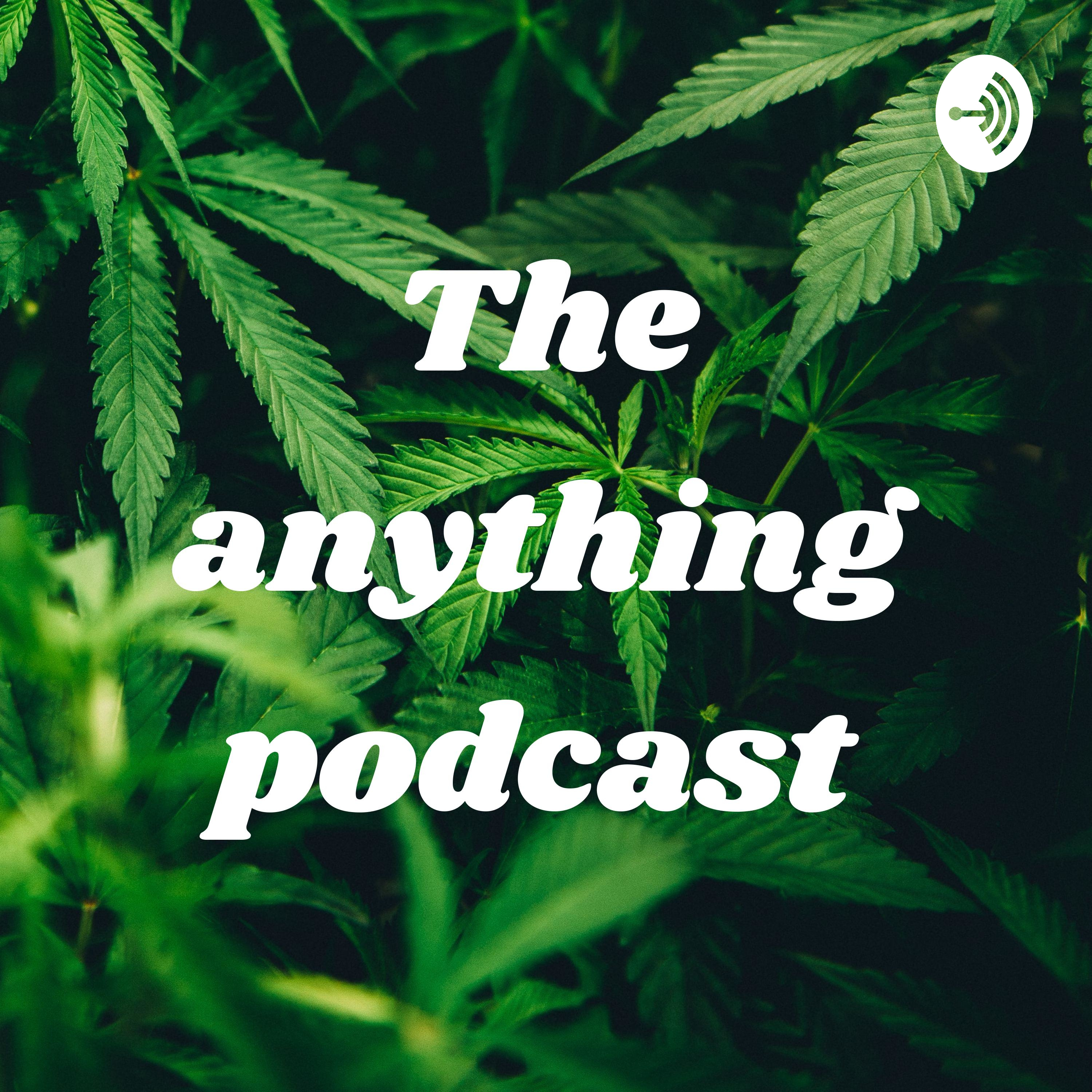 The anything podcast 