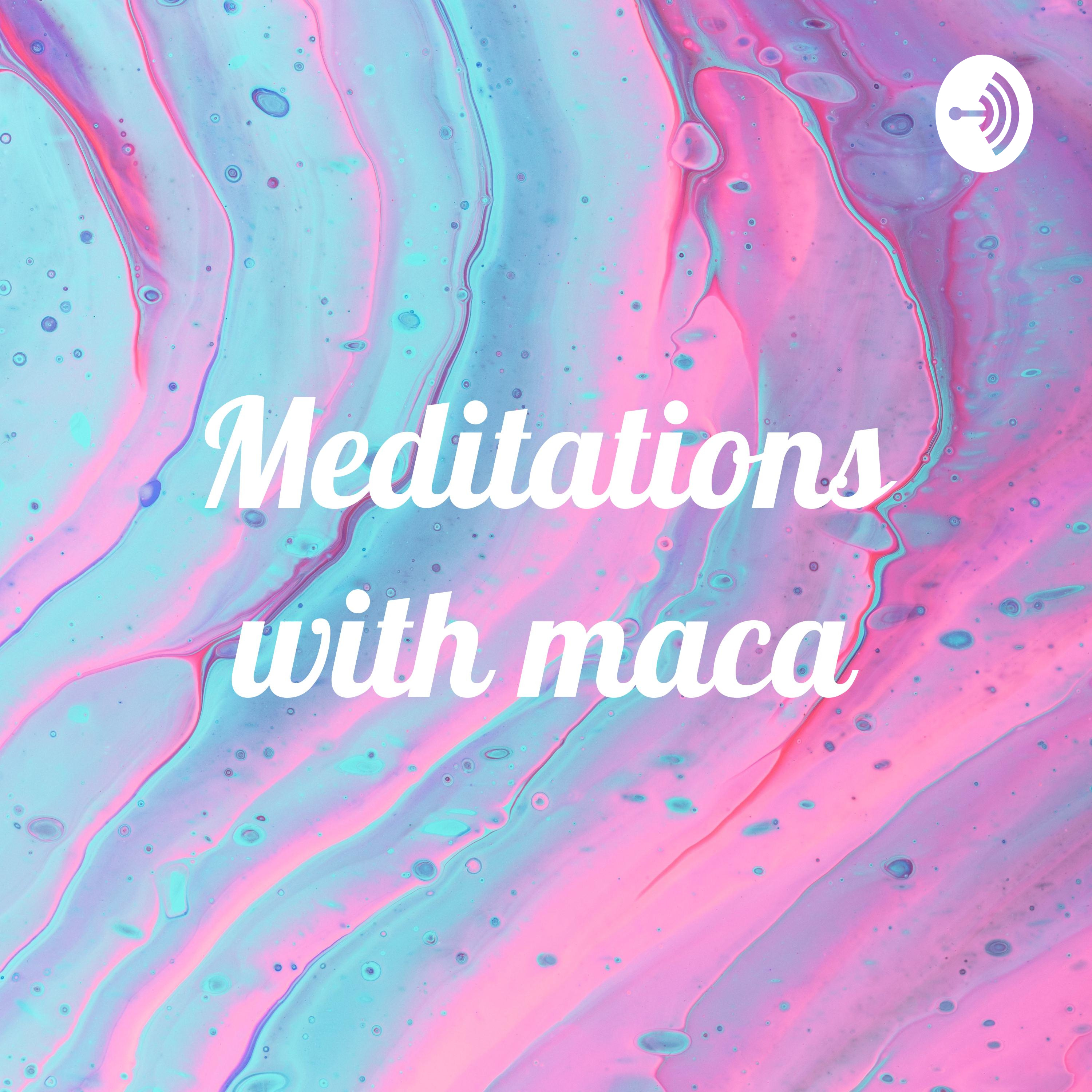 Meditations with maca