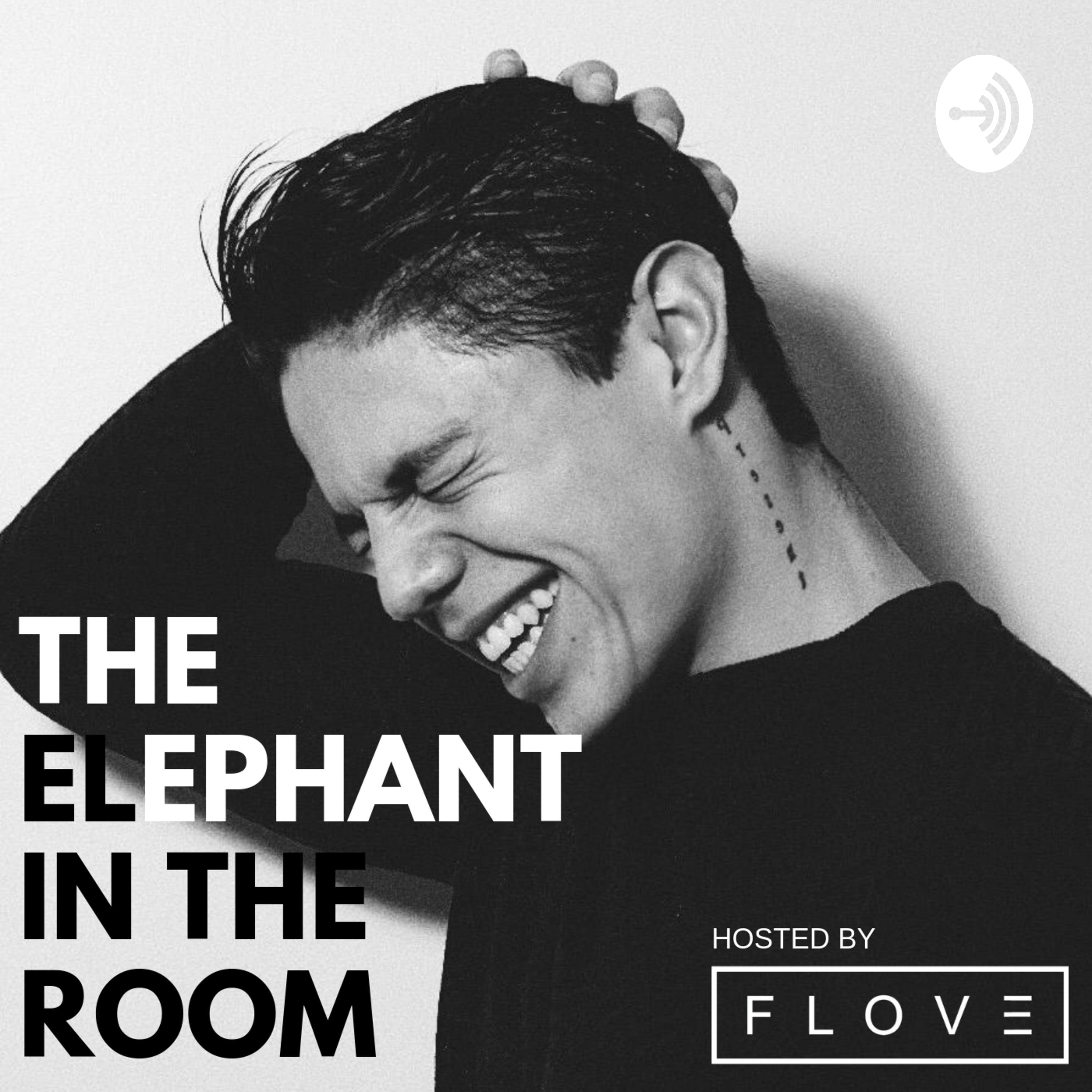 The Elephant In The Room