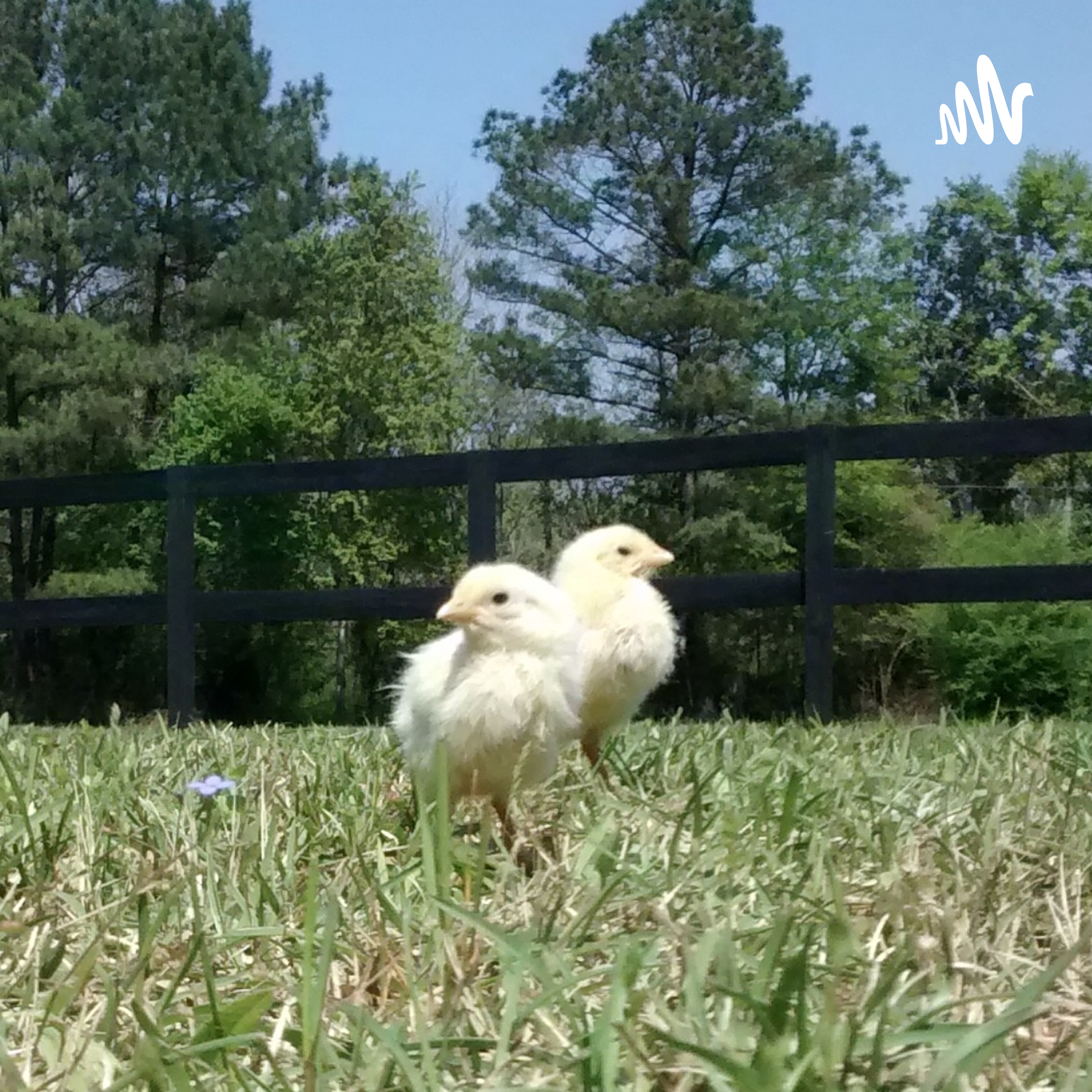 Big Nate Hobby Farm