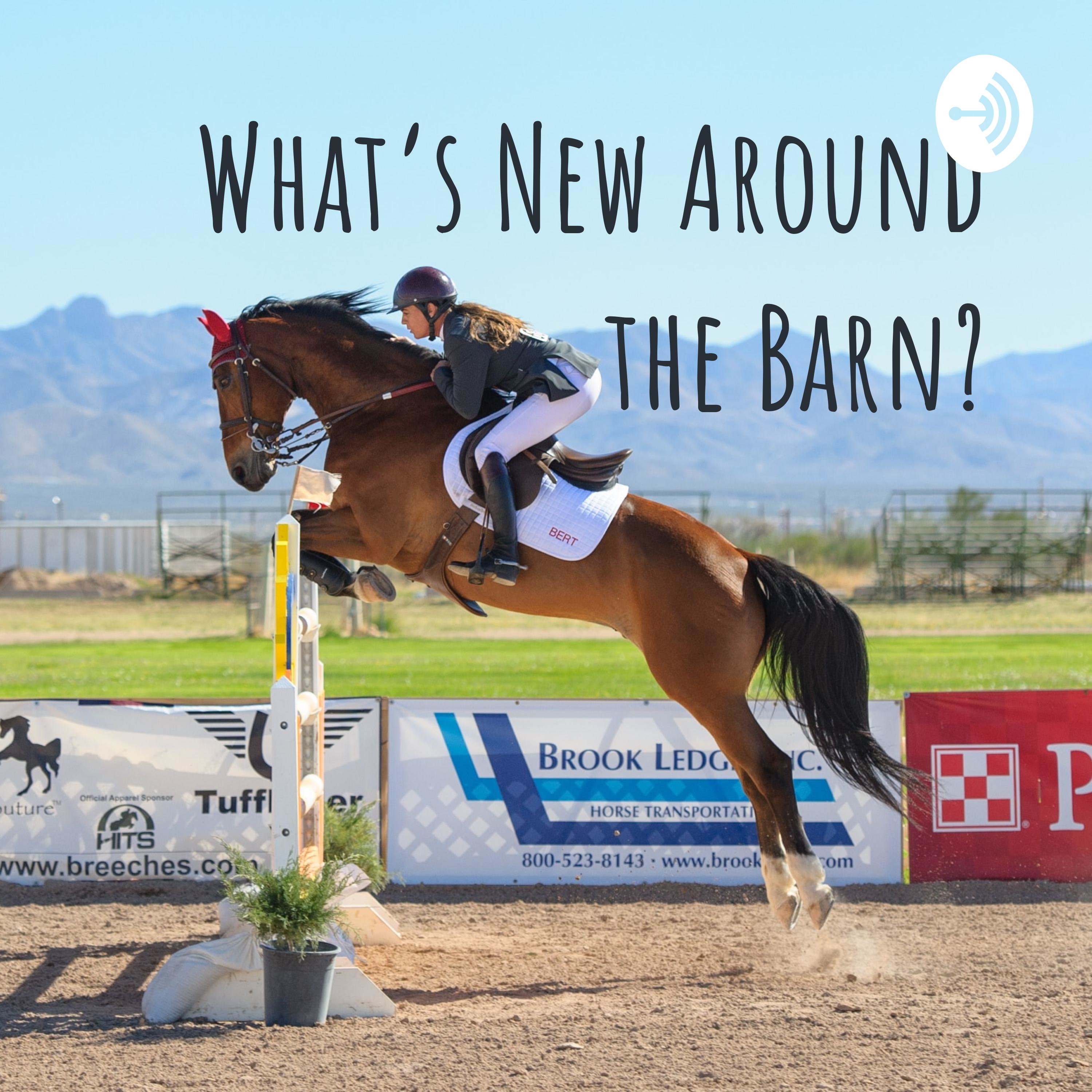 What’s New Around the Barn?