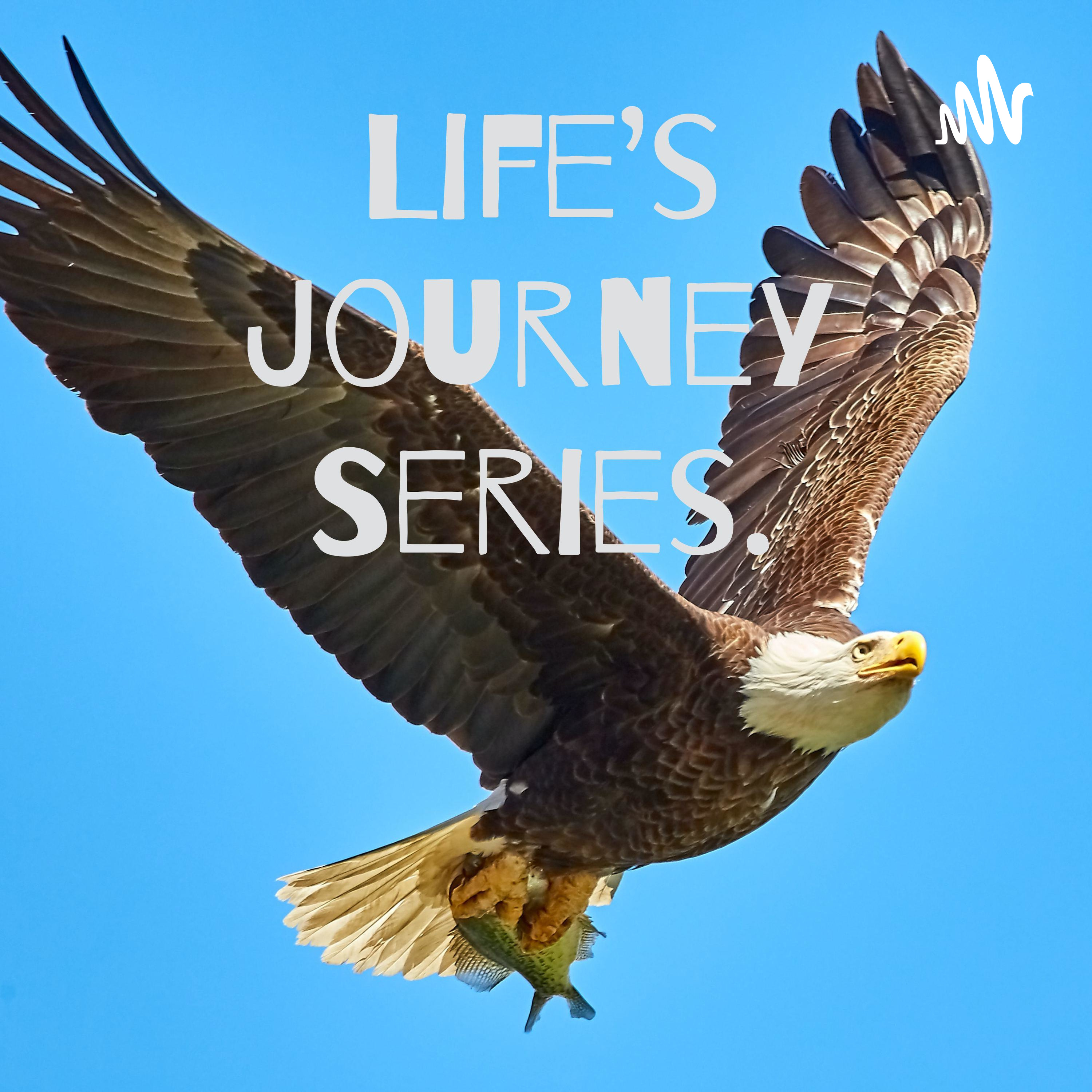 Life's Journey Series. podcast artwork