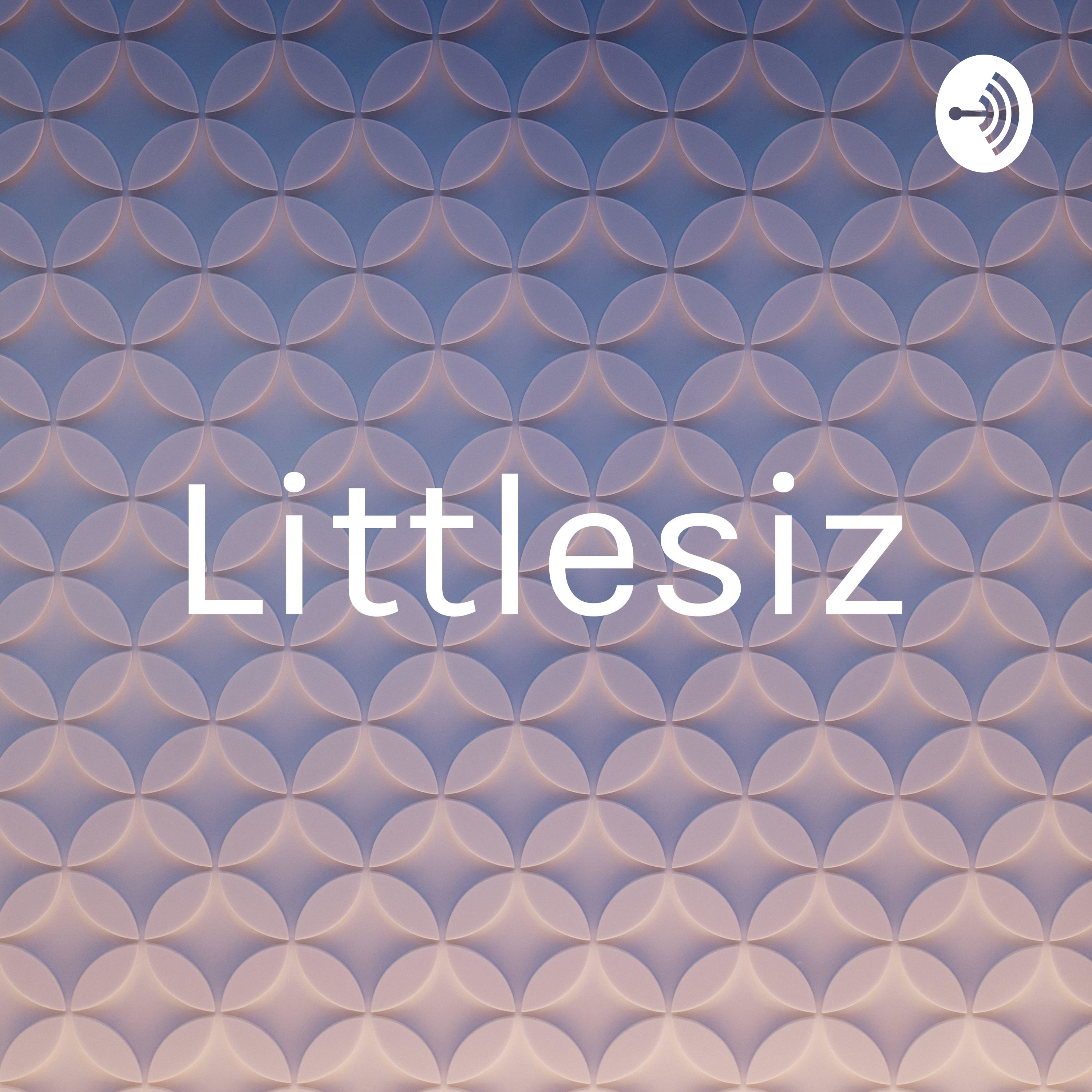 Littlesiz