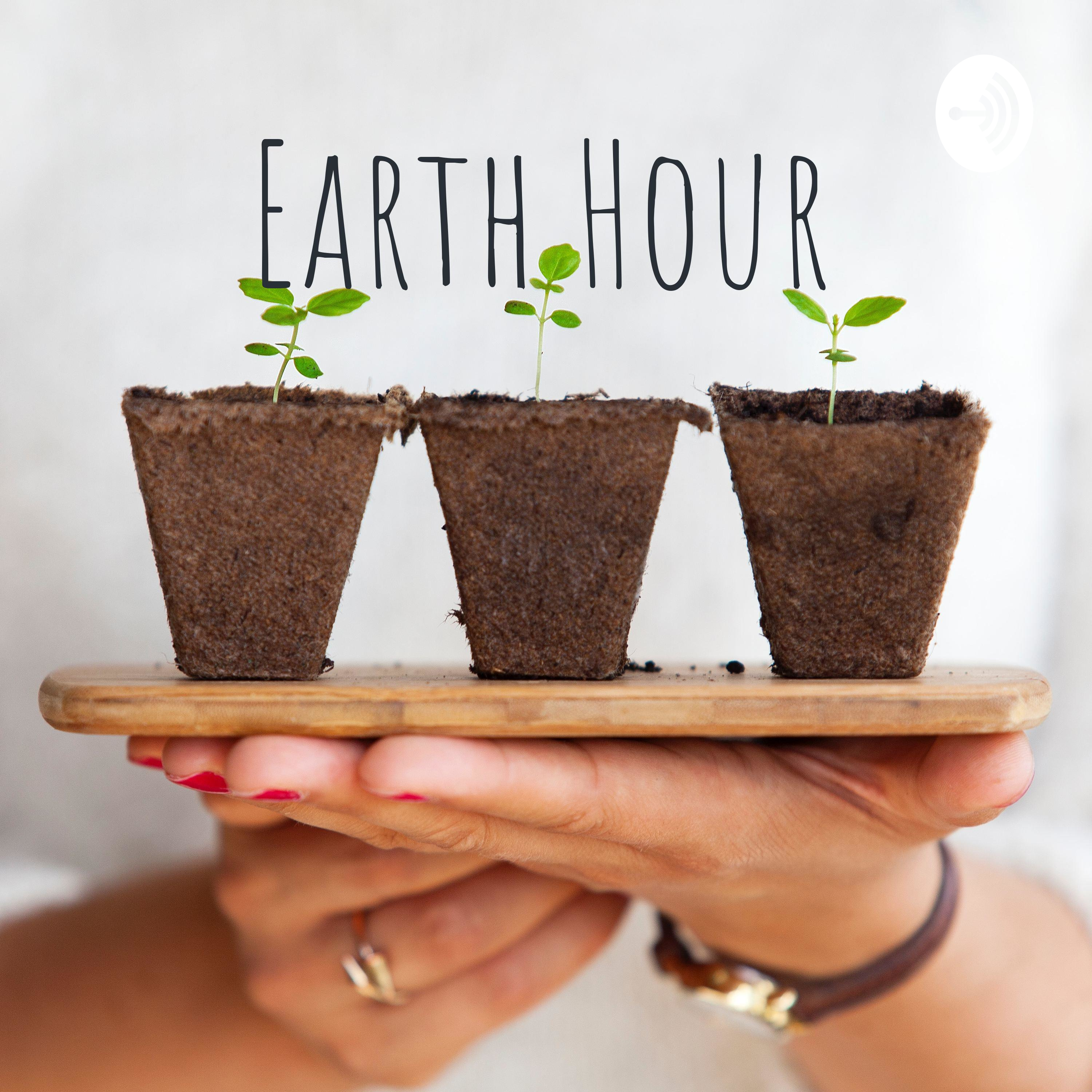 Earth Hour