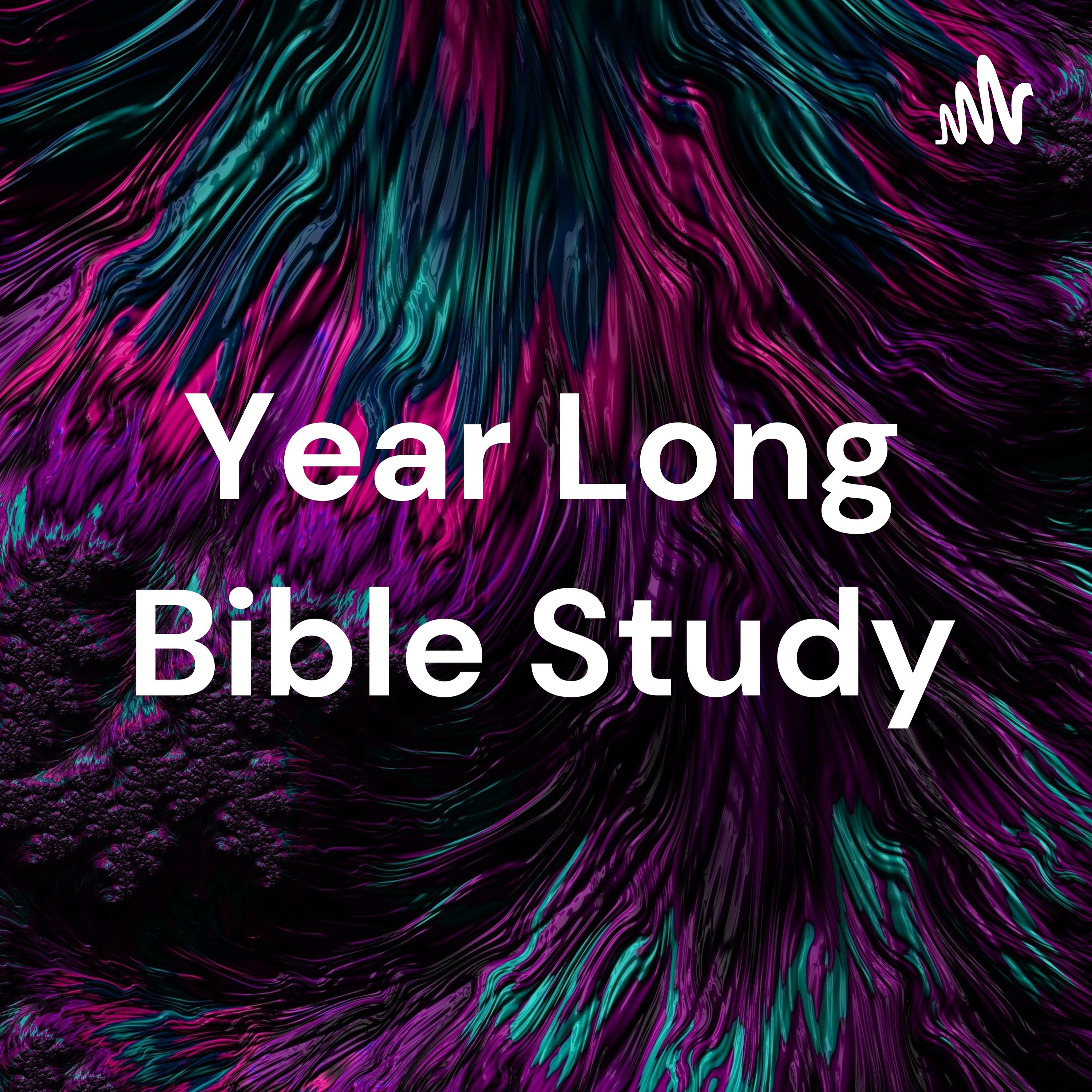 Year Long Bible Study