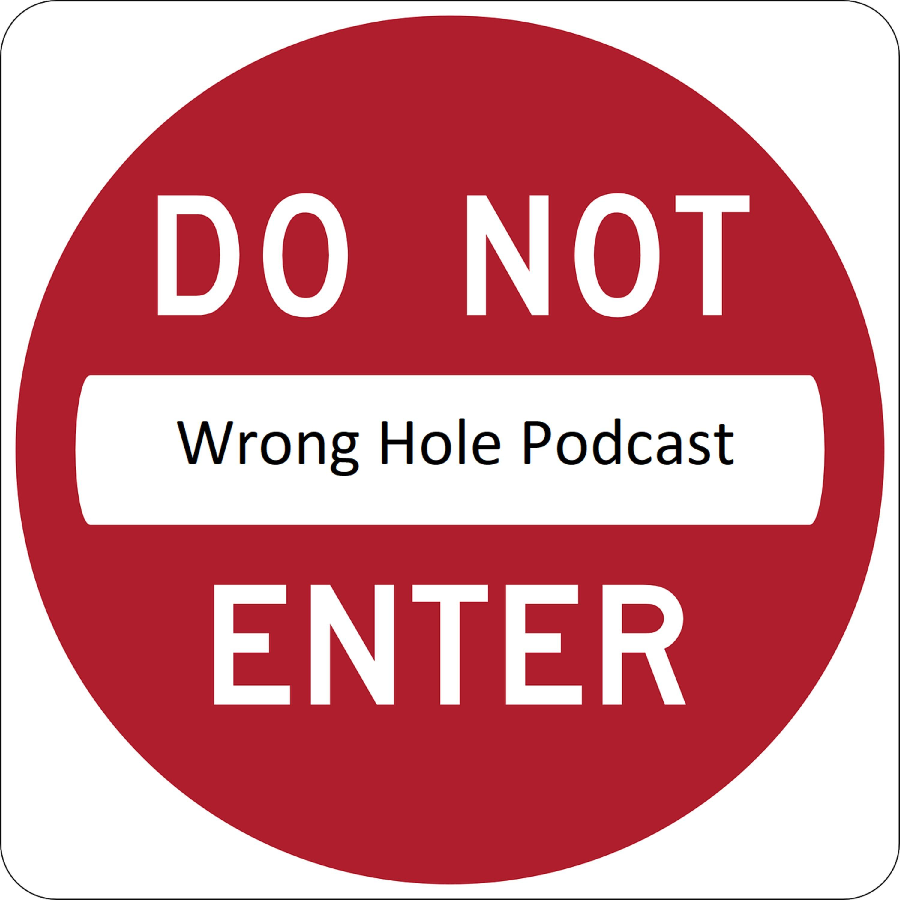 Wrong Hole podcast artwork