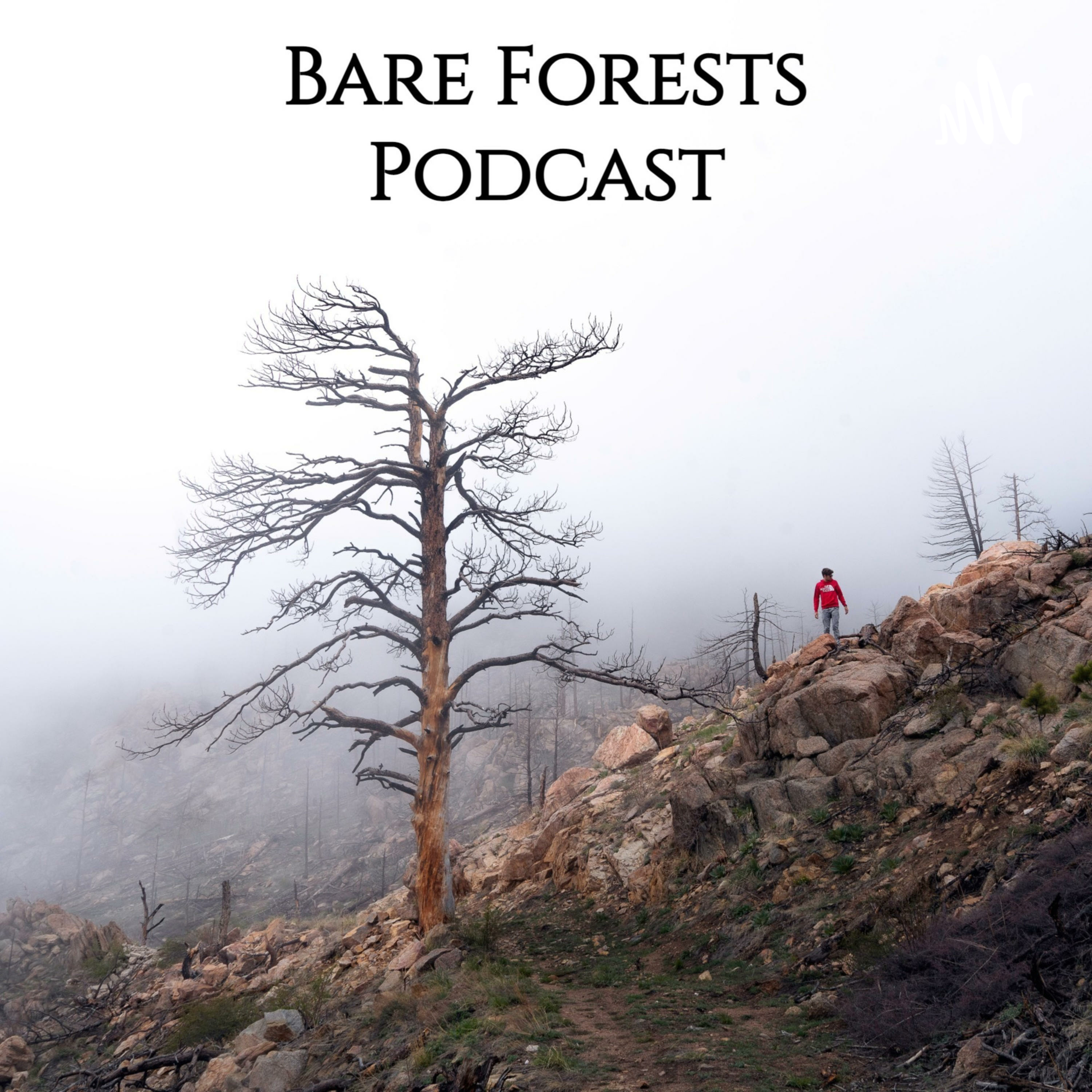 Bare Forests Podcast, Ep. 5: Why Studying the Bible in HD Matters