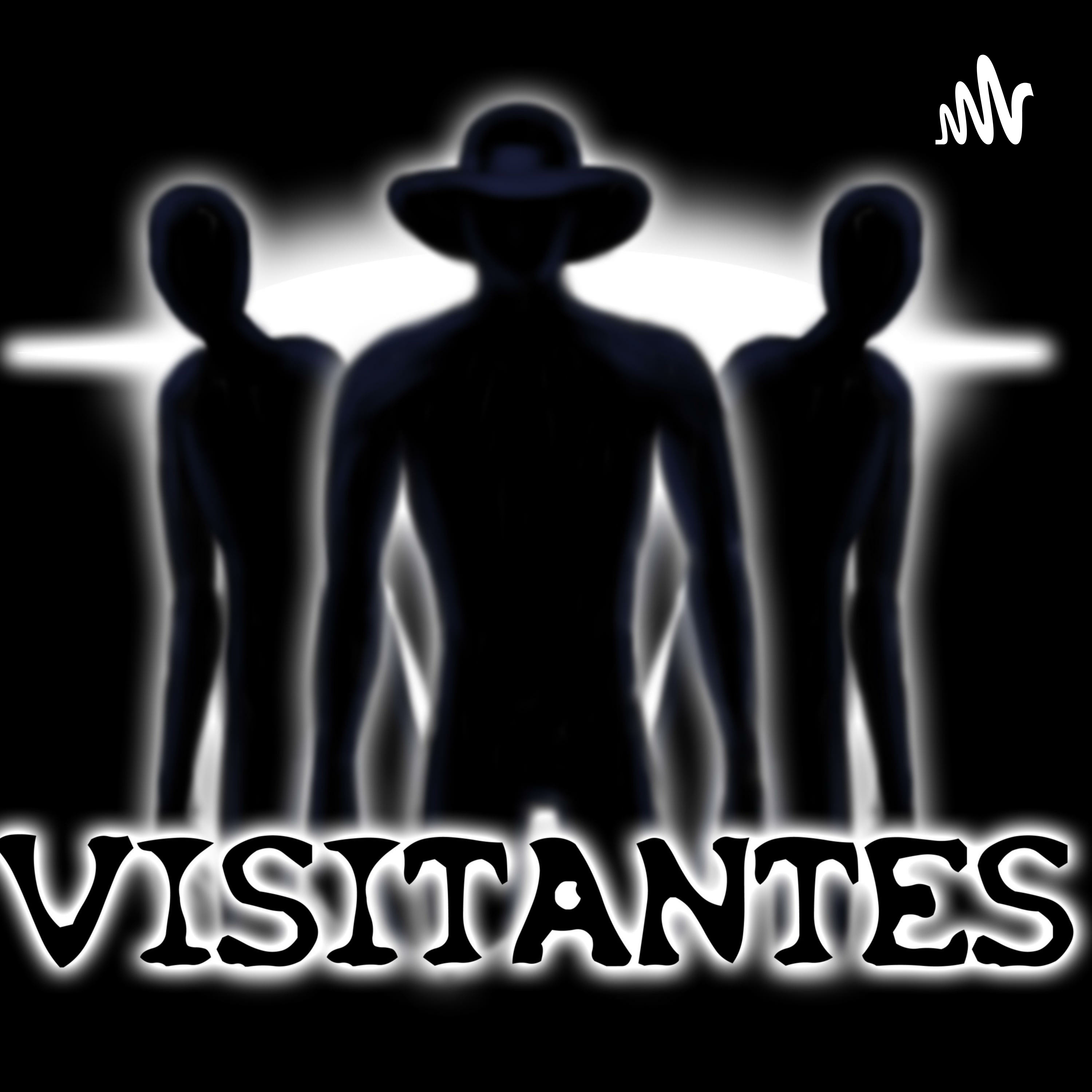 Portada de Visitantescl