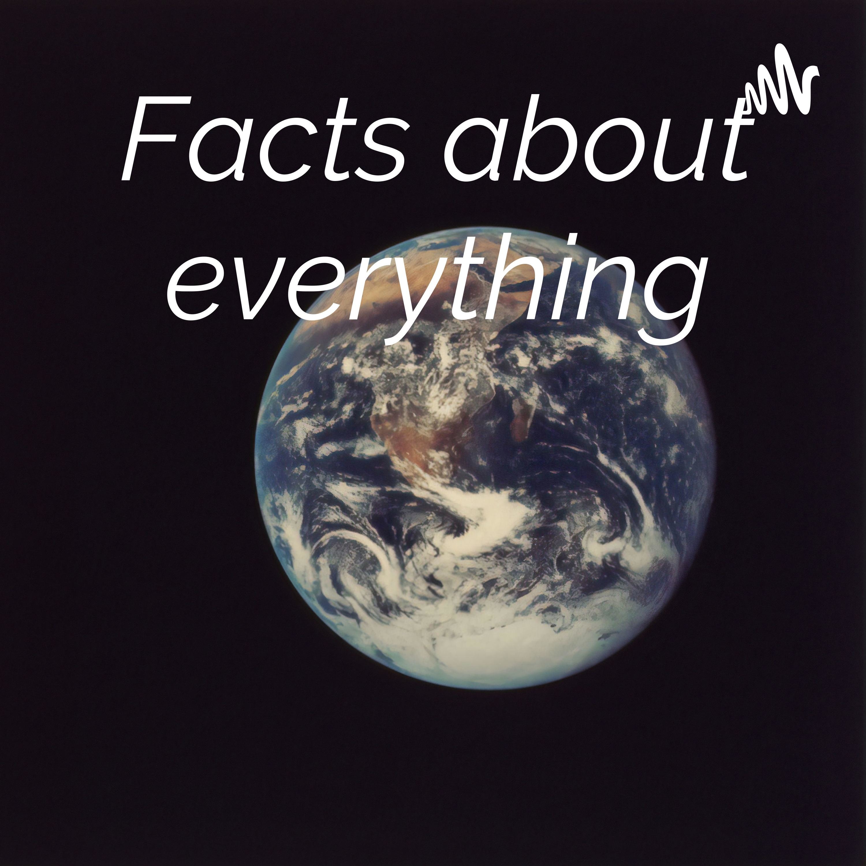 Facts about everything podcast artwork