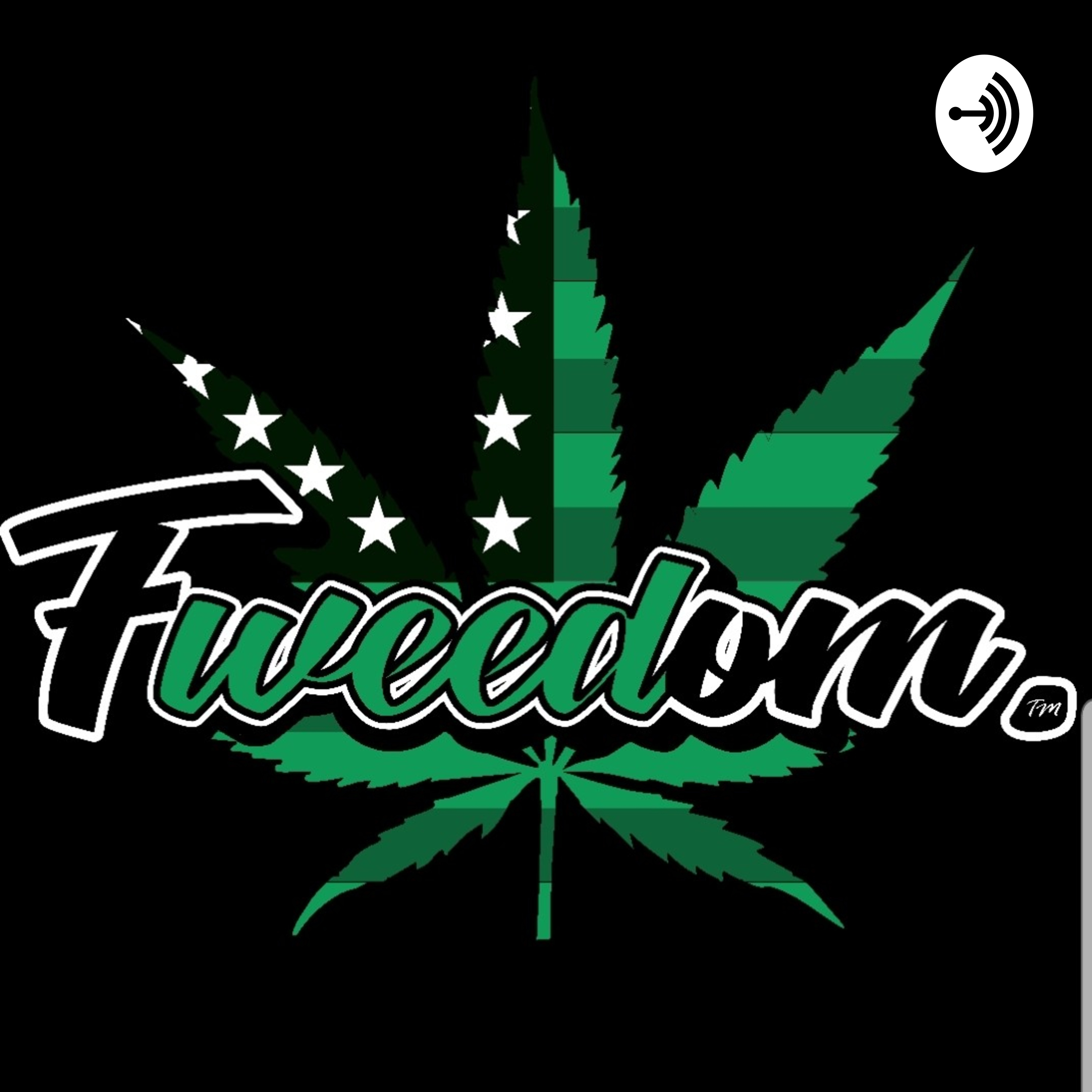 Late Night Sesh. Take 1 Late Night Sesh. Take 1