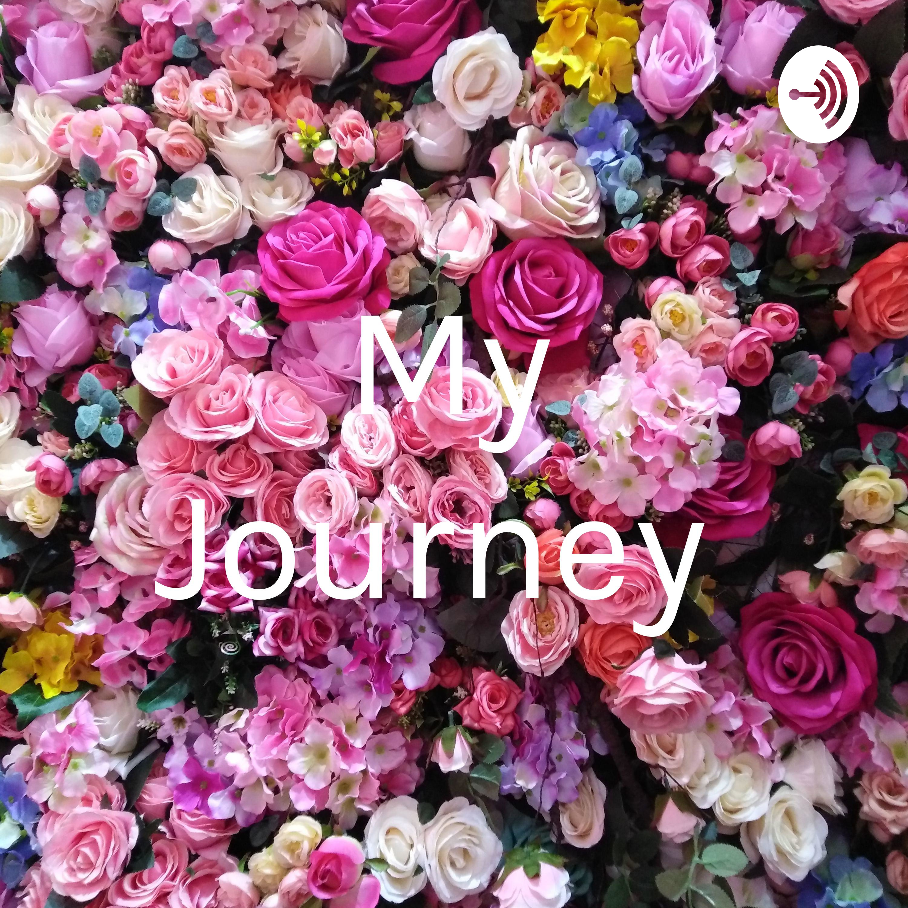 My Journey 