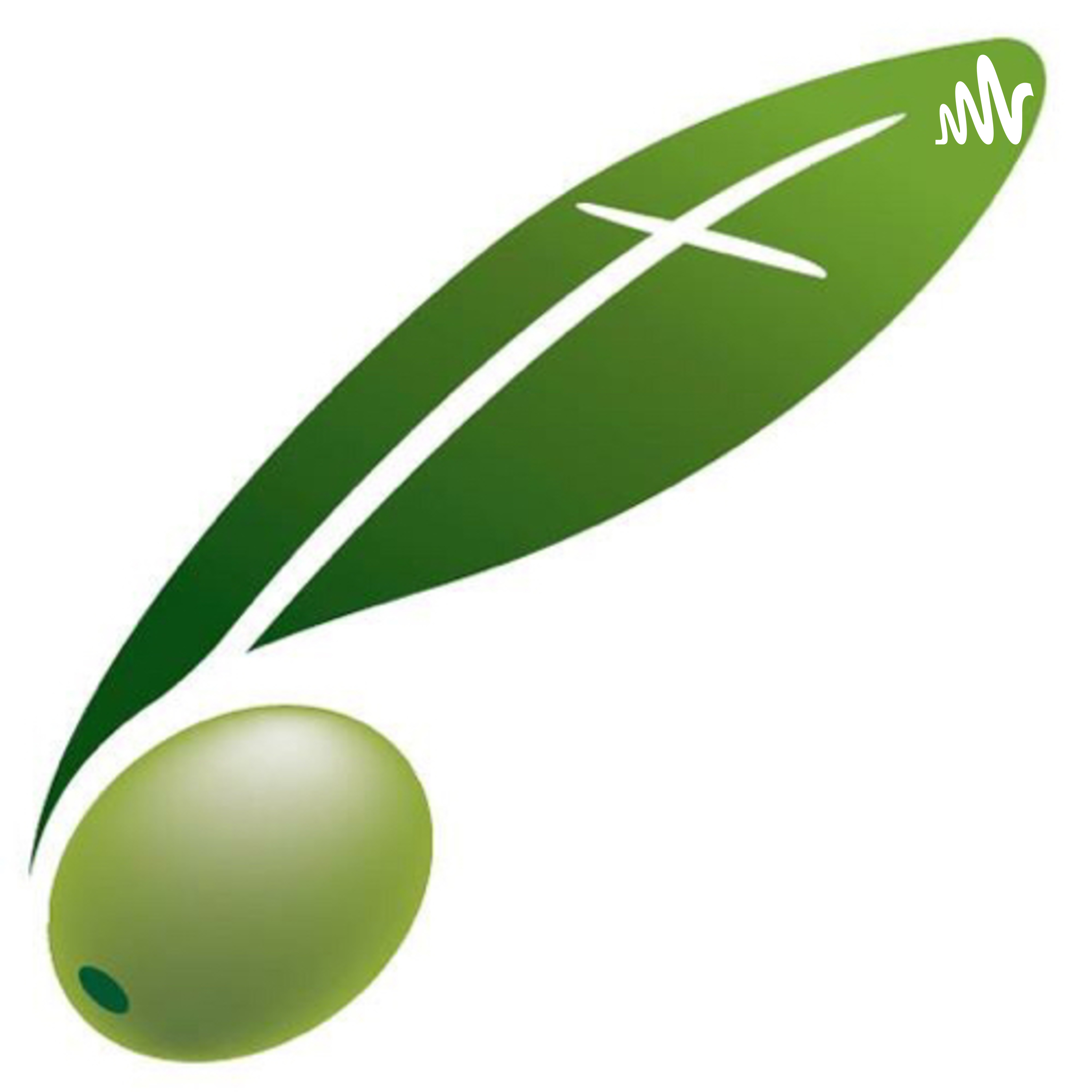 ChristChurch Belfast