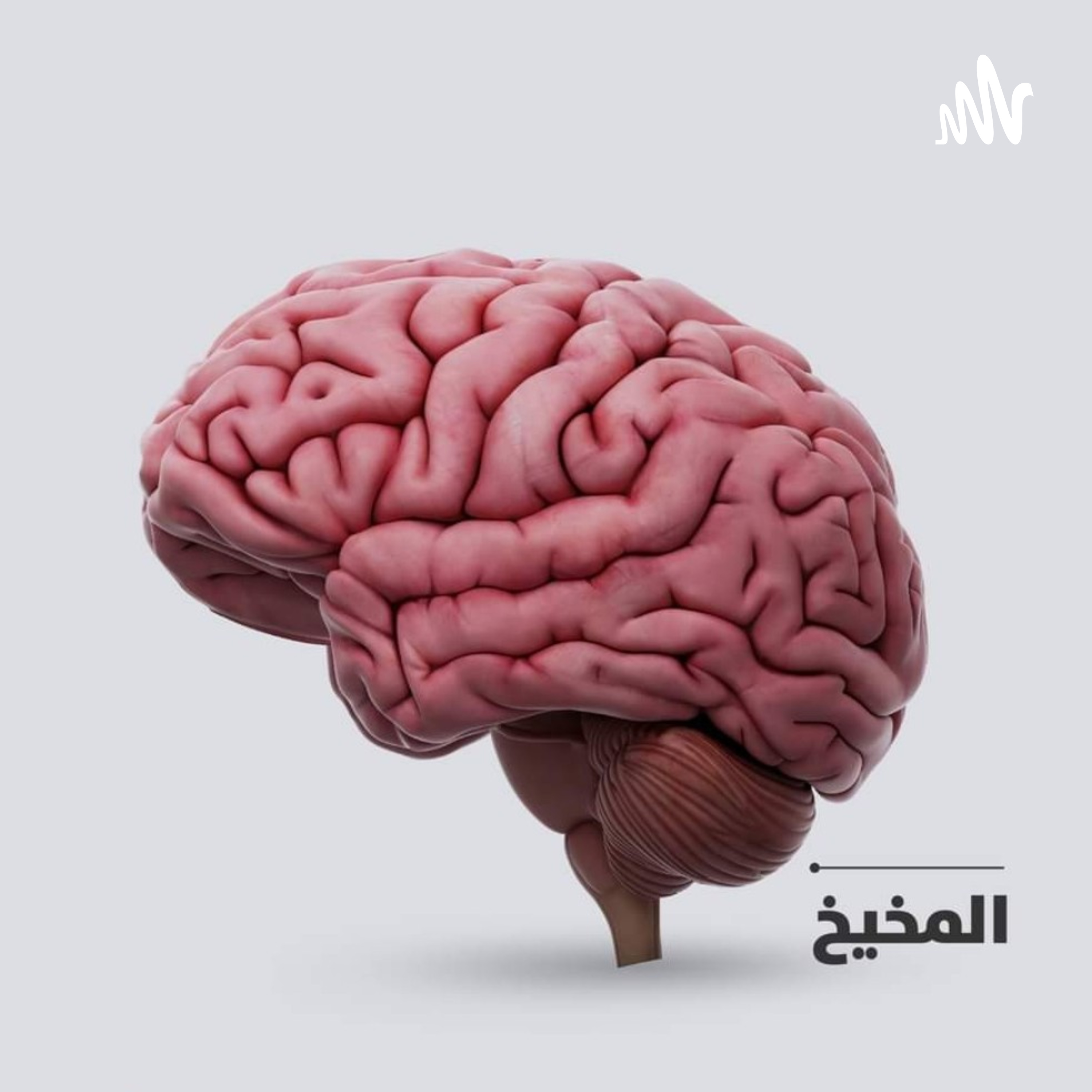 المخيخ podcast artwork