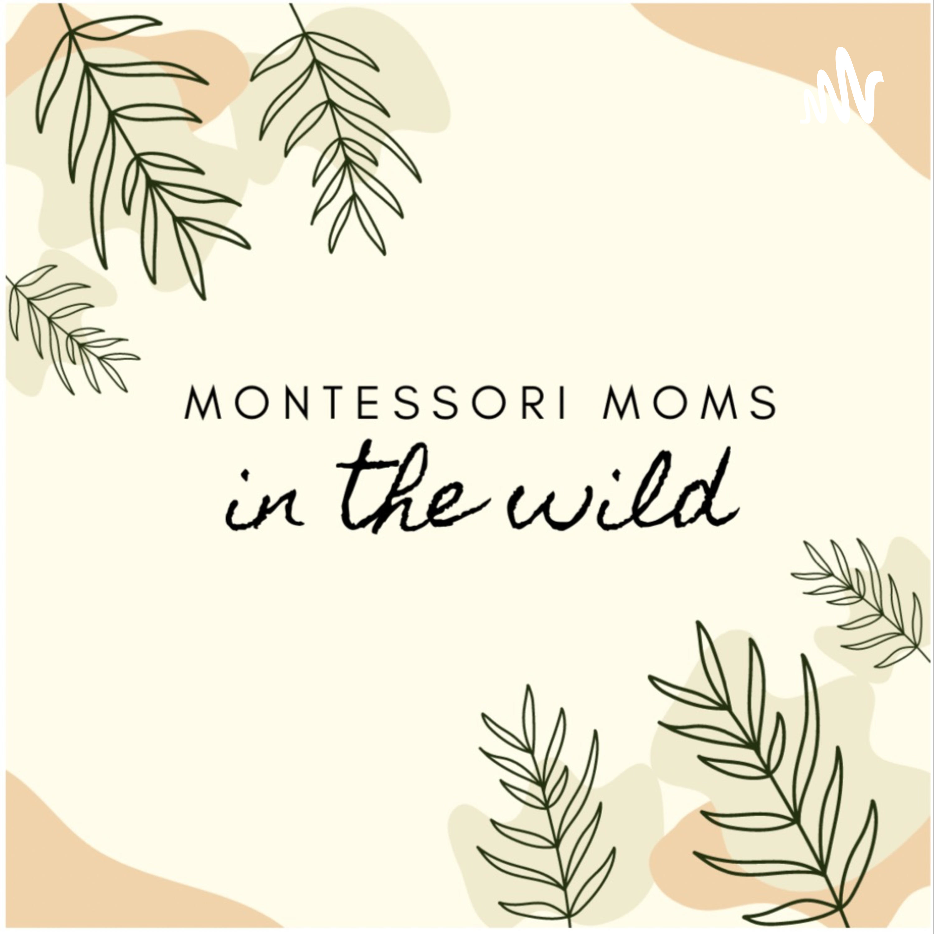 Montessori Moms in the Wild