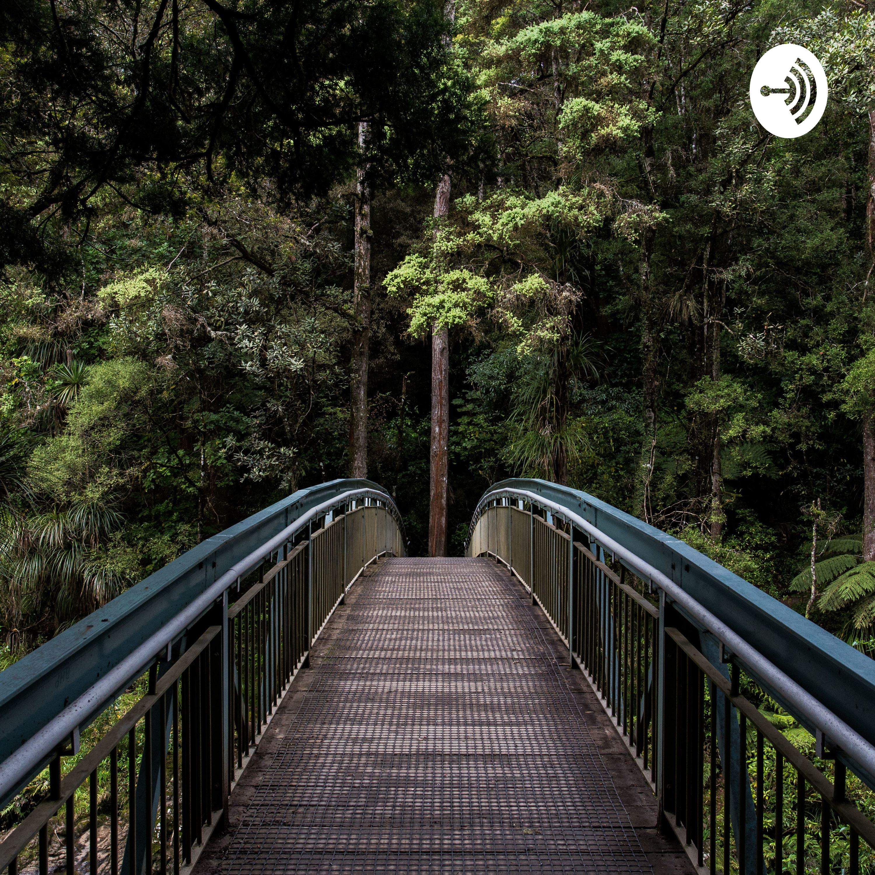 Dr.Jebasingh Detailed speech about cancer.