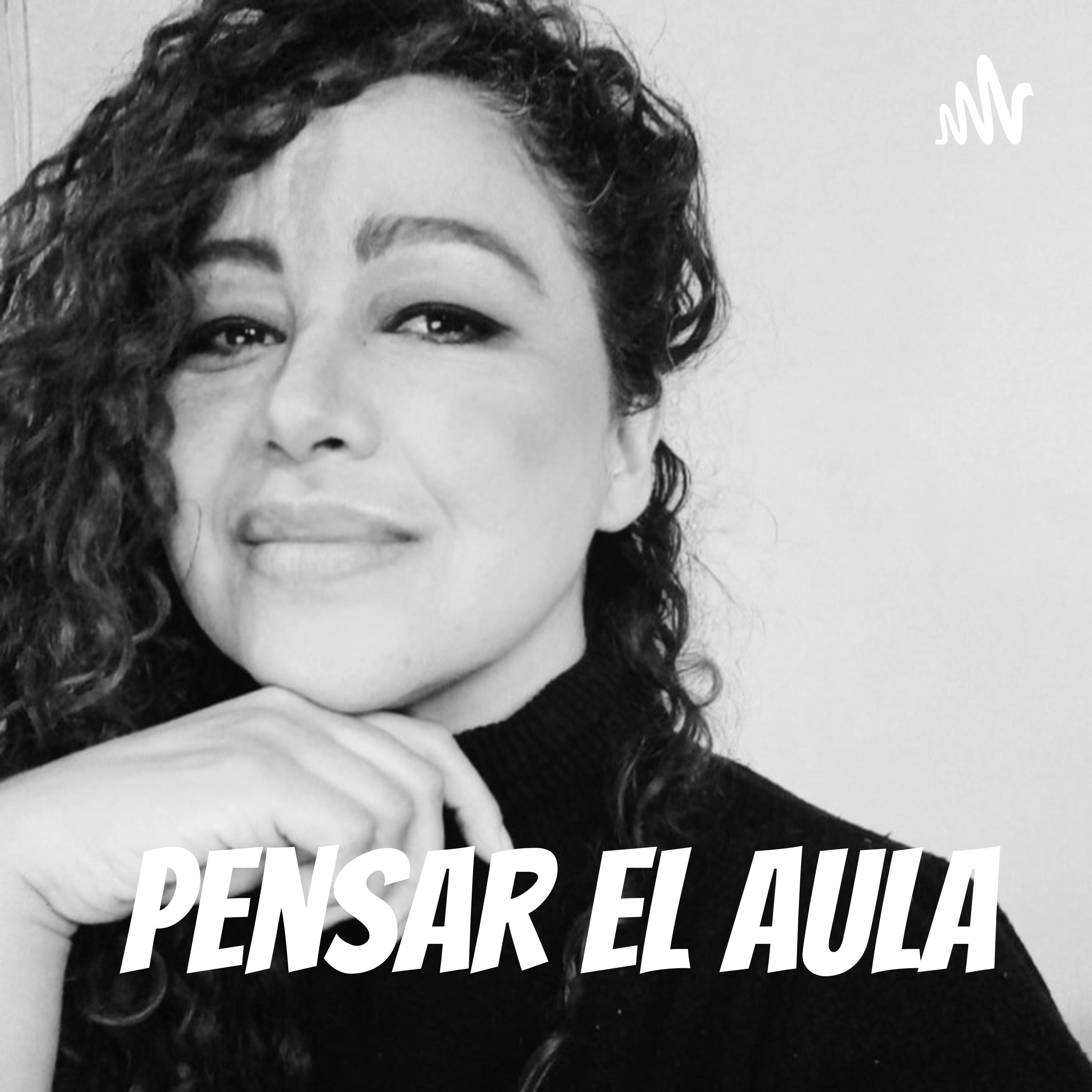 Pensar el Aula