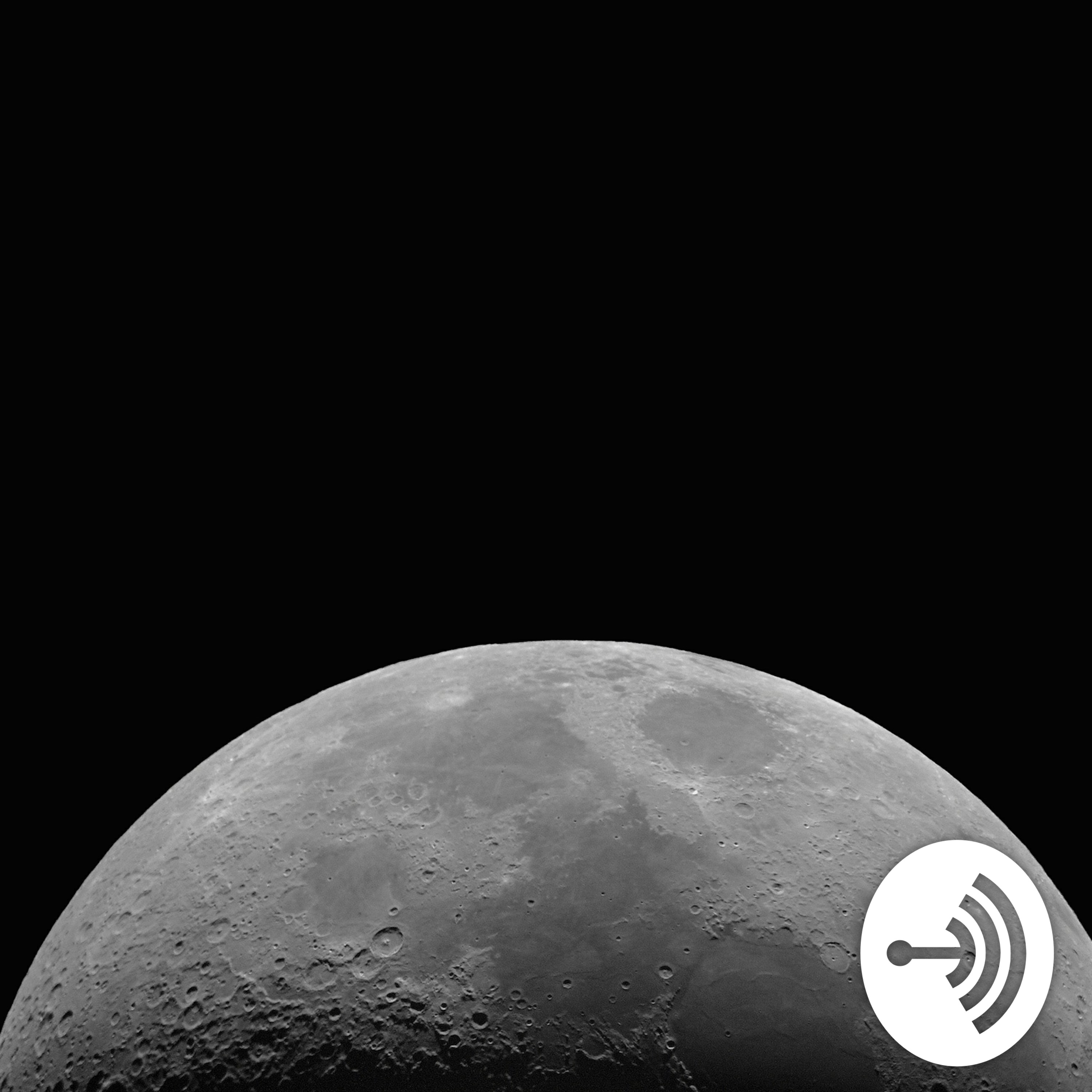 Rickybot-Occasional Empathy