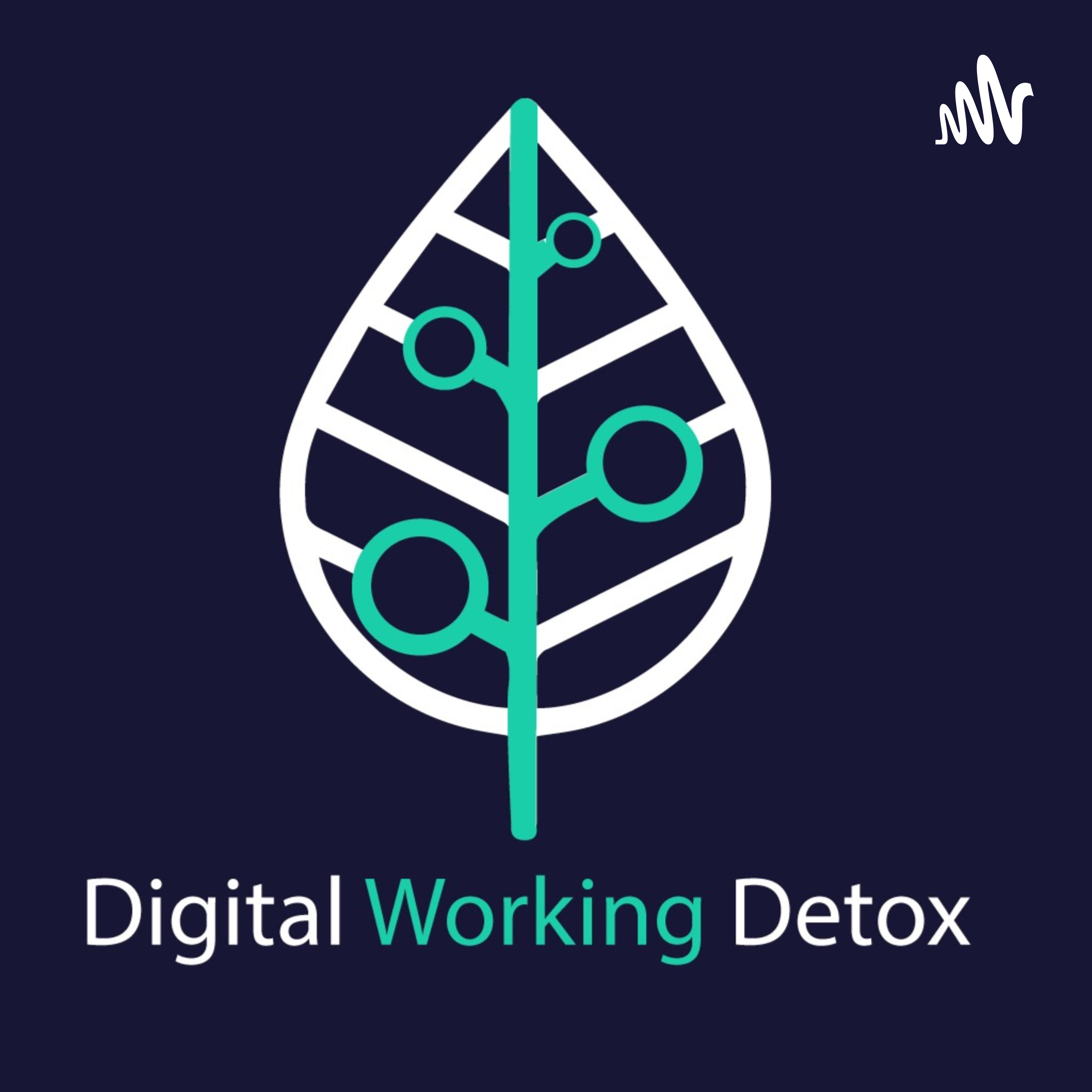 Digital Working Detox