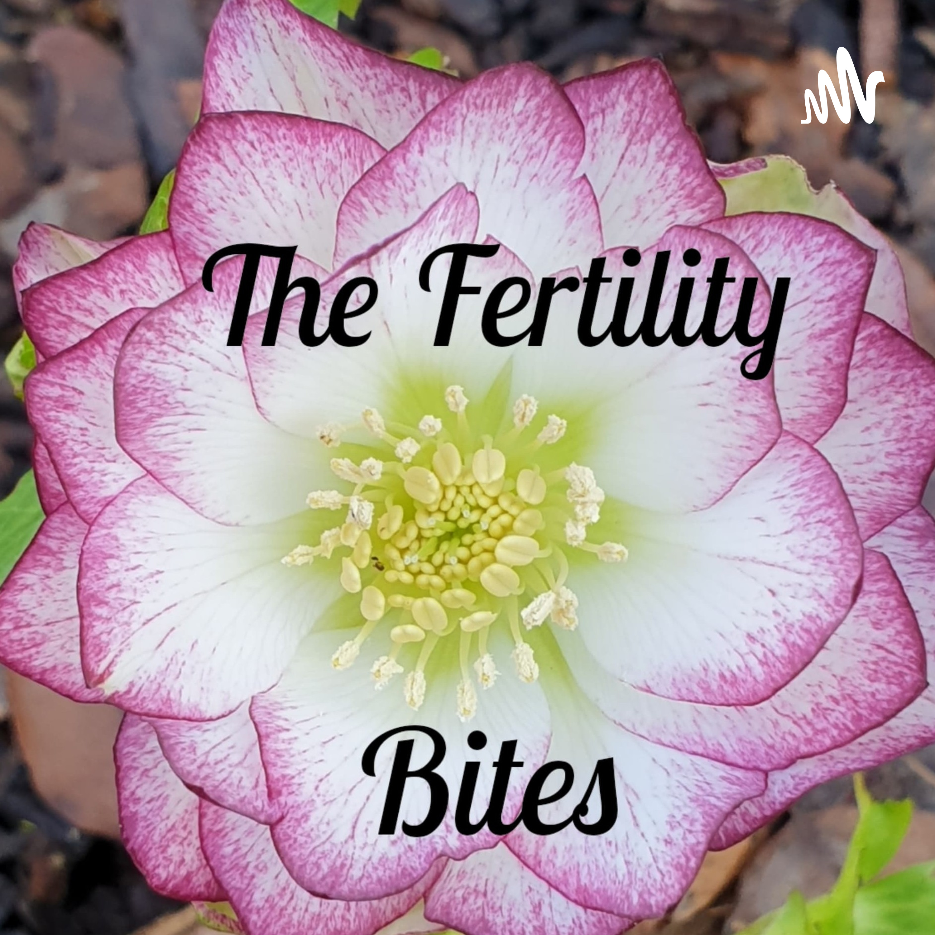The Fertility Bites podcast artwork