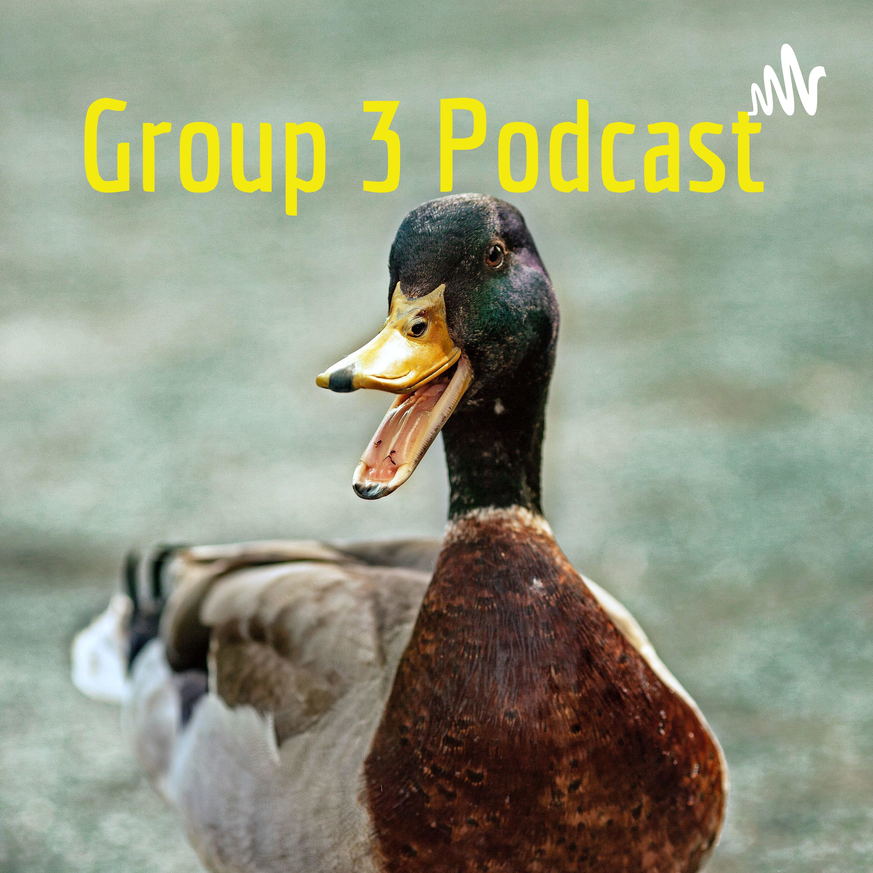  Group 3 Podcast 